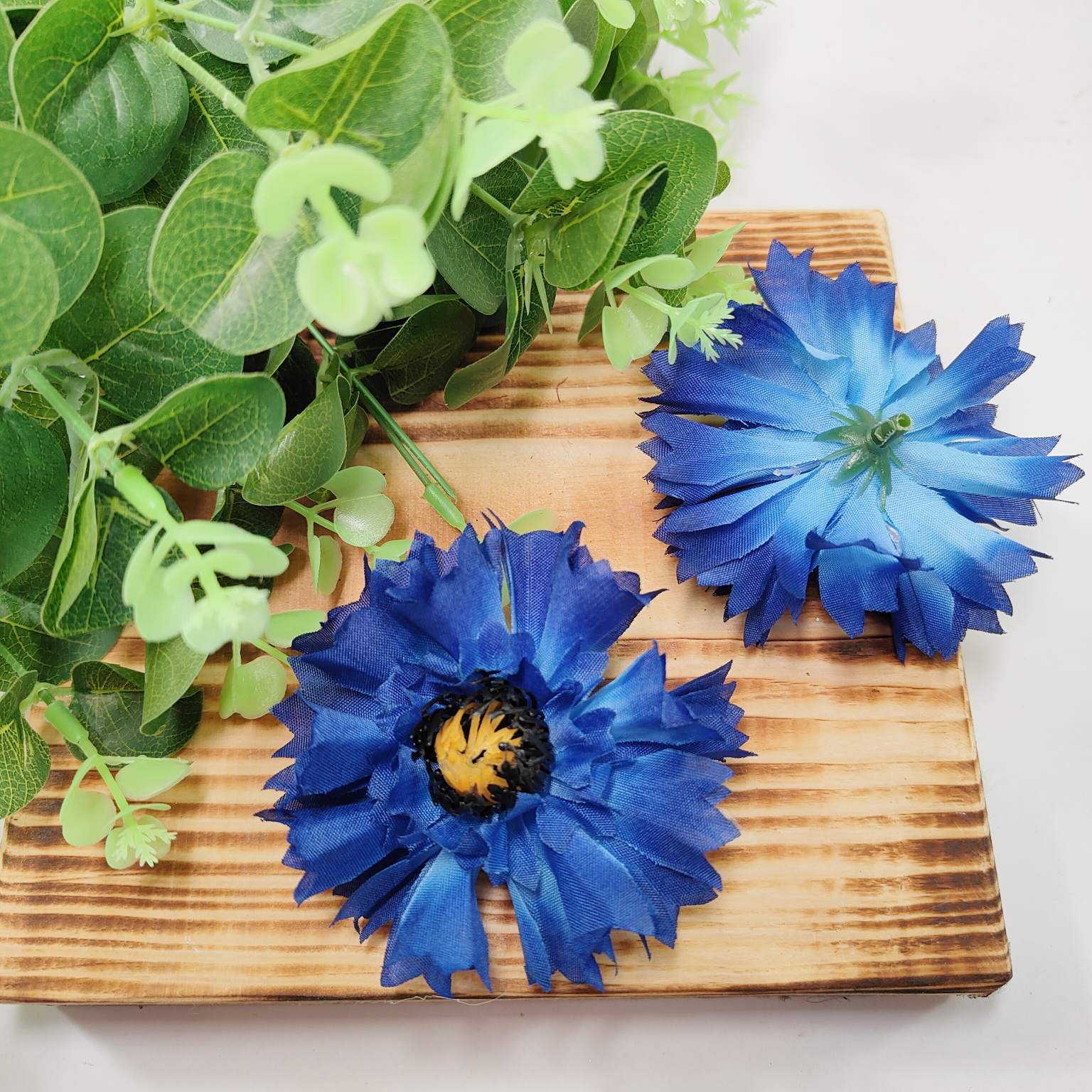 Chaber wyrobowy 12 szt