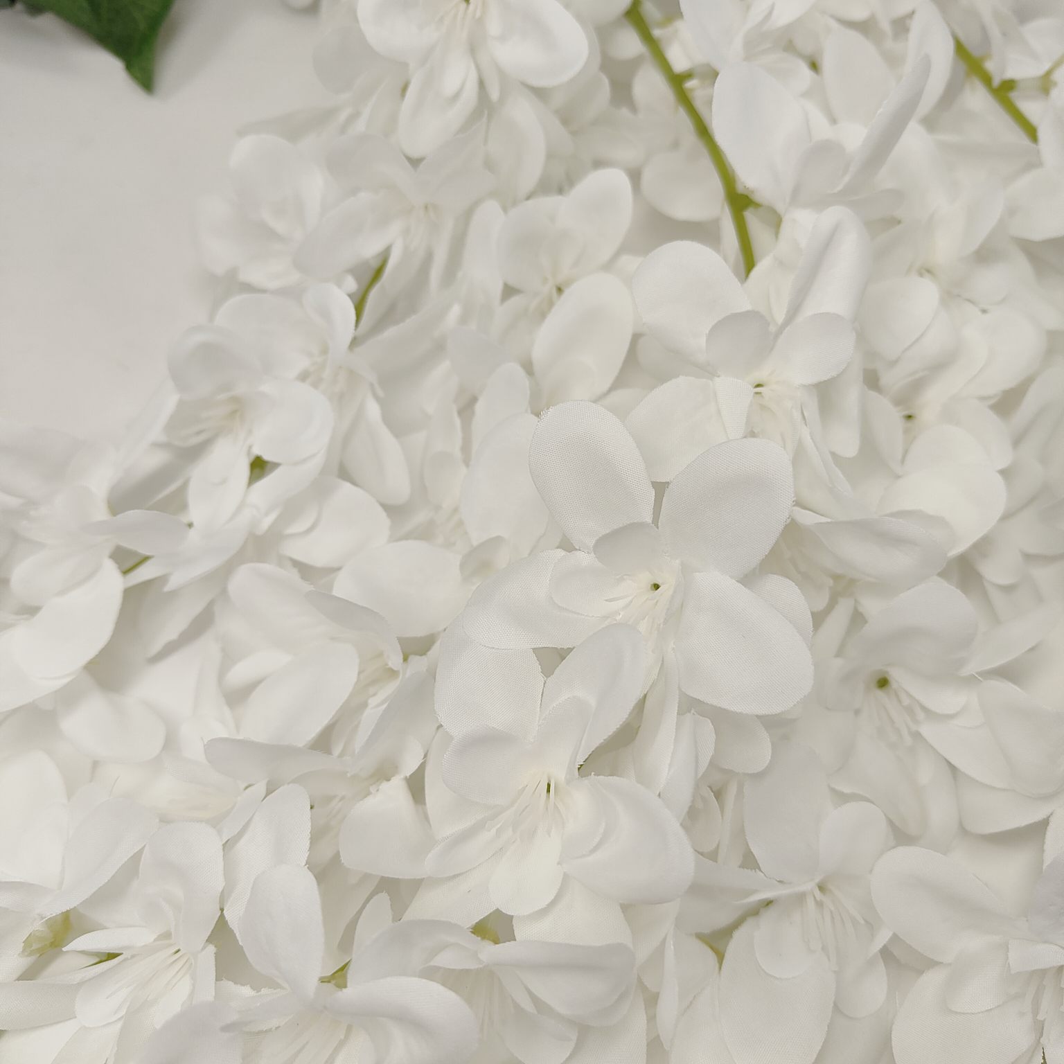 Wisteria x5  girlanda biała