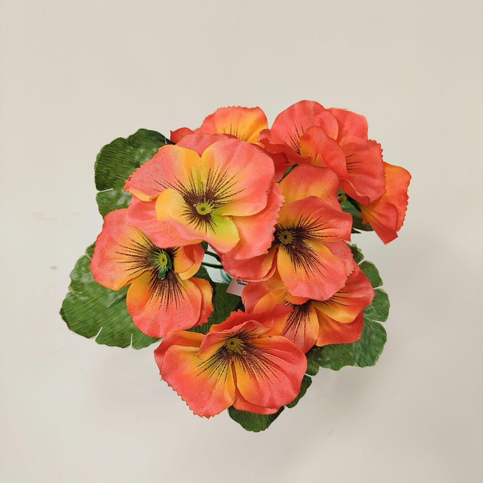 Bukiecik bratek pomarańczowy