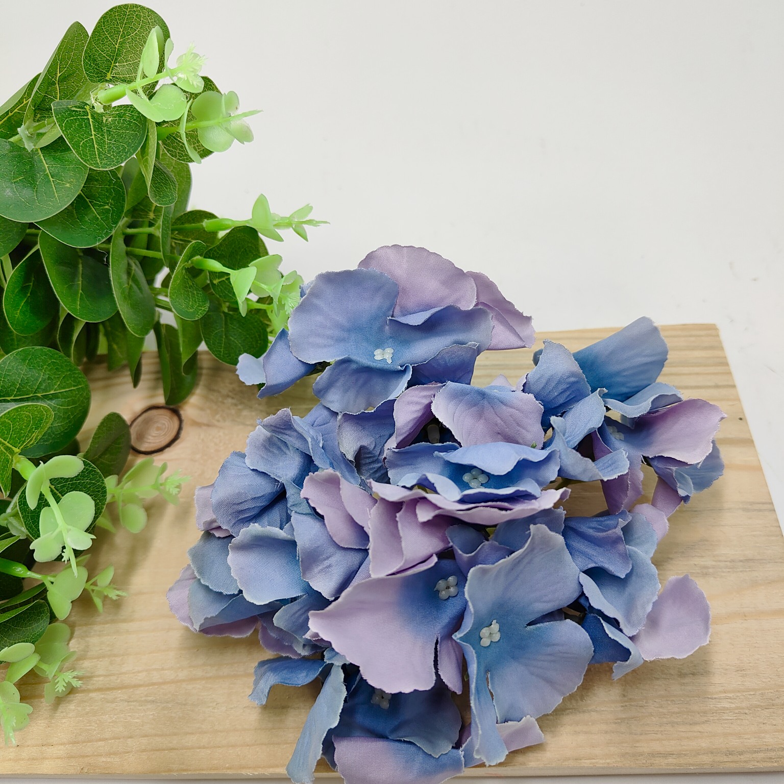 Hortensja wyrobowa glossy grape