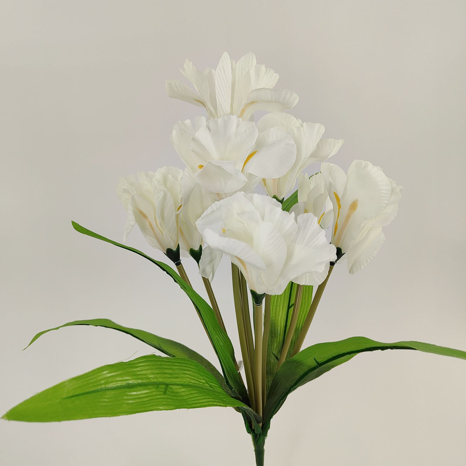 Bukiet irys x9 kremowy