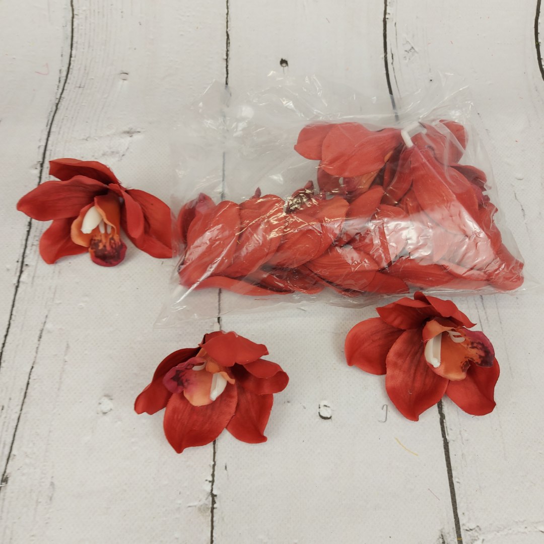 Storczyk wyrobowy bordo 12szt