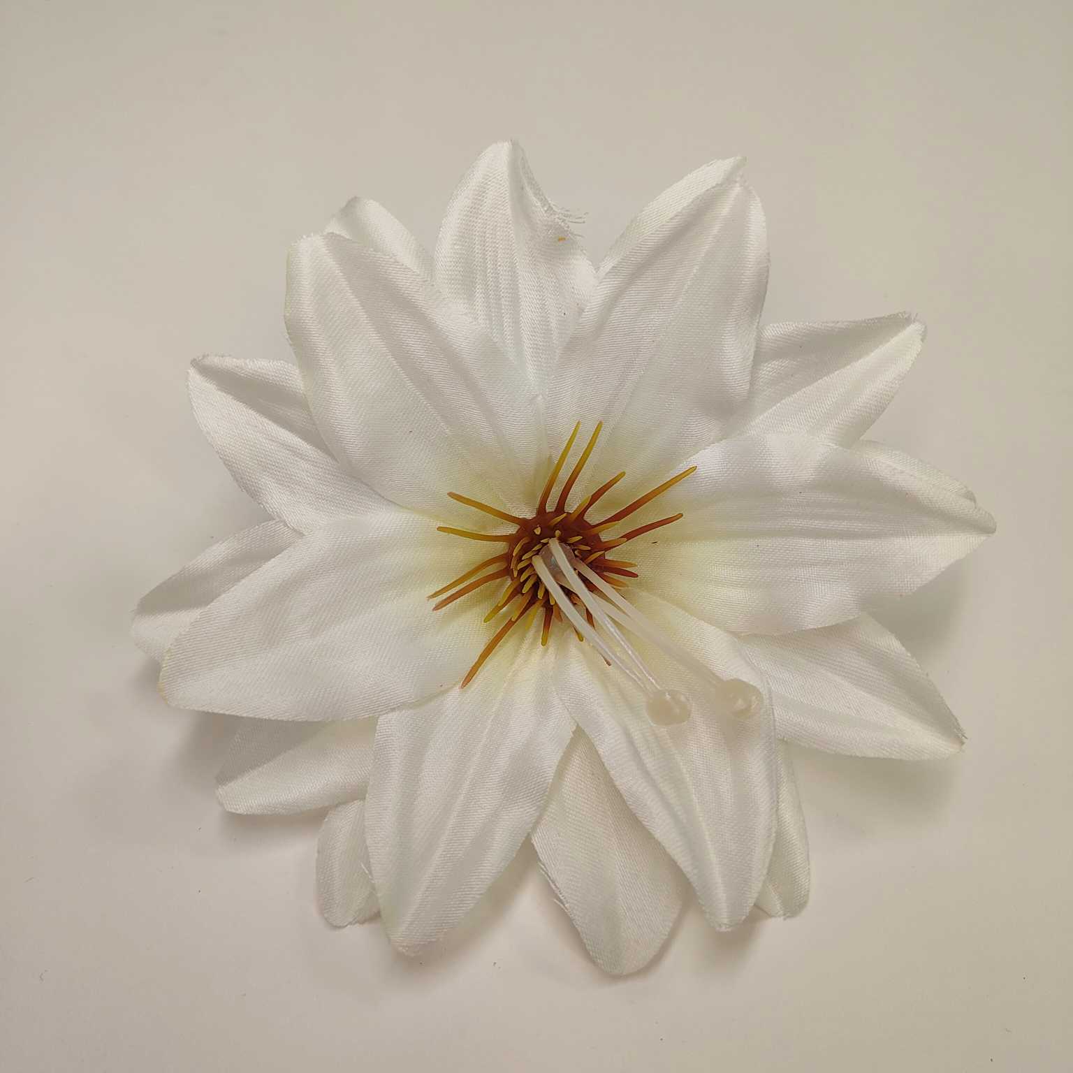 Dalia wyrobowa kremowa 12 szt