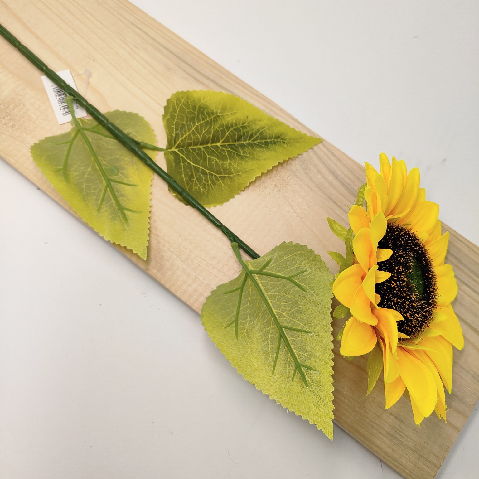 Słonecznik pojedynczy