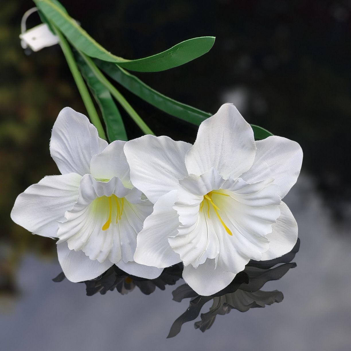 Żonkil kremowy pojedynczy x2 łodyga gumowana