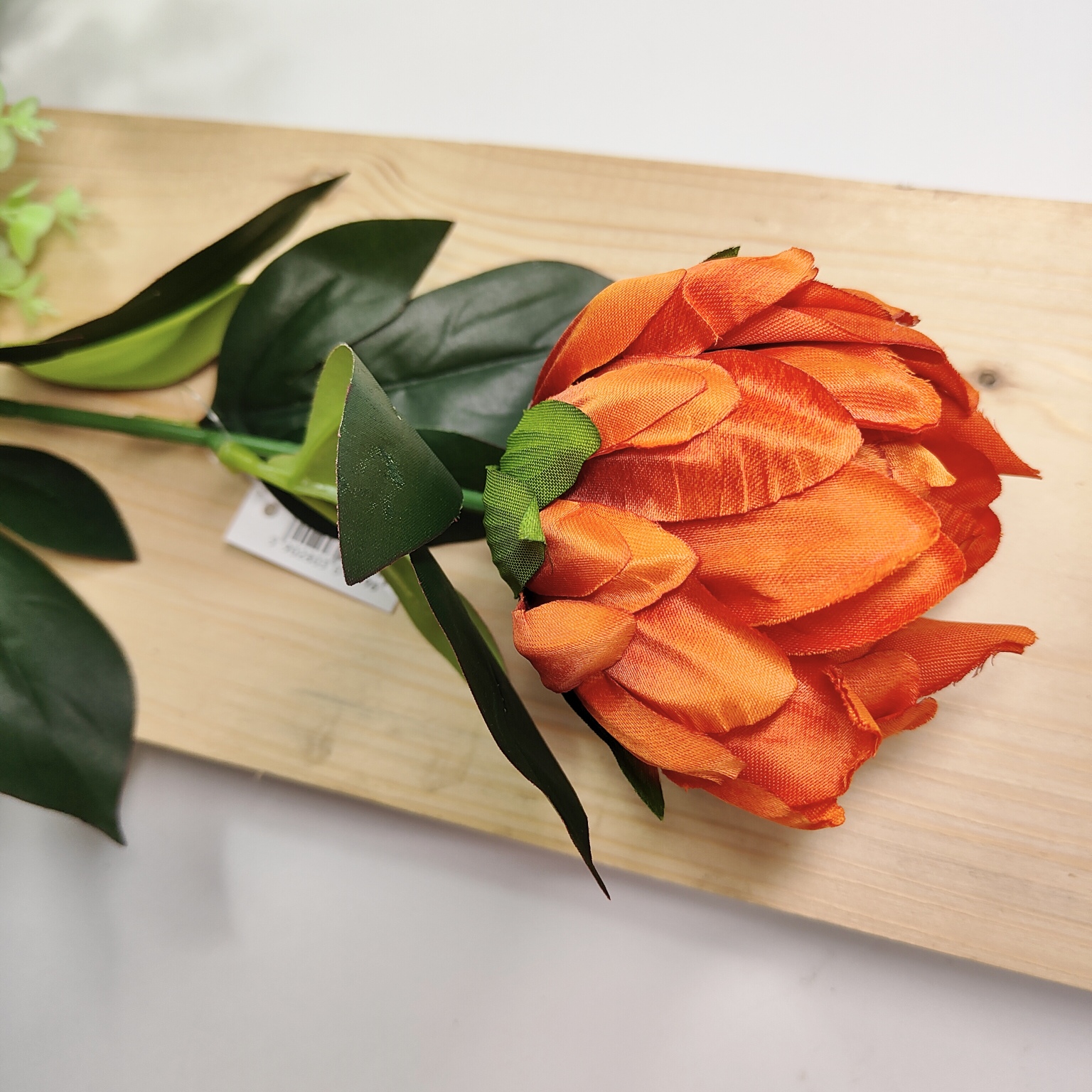 Protea pojedyncza ruda