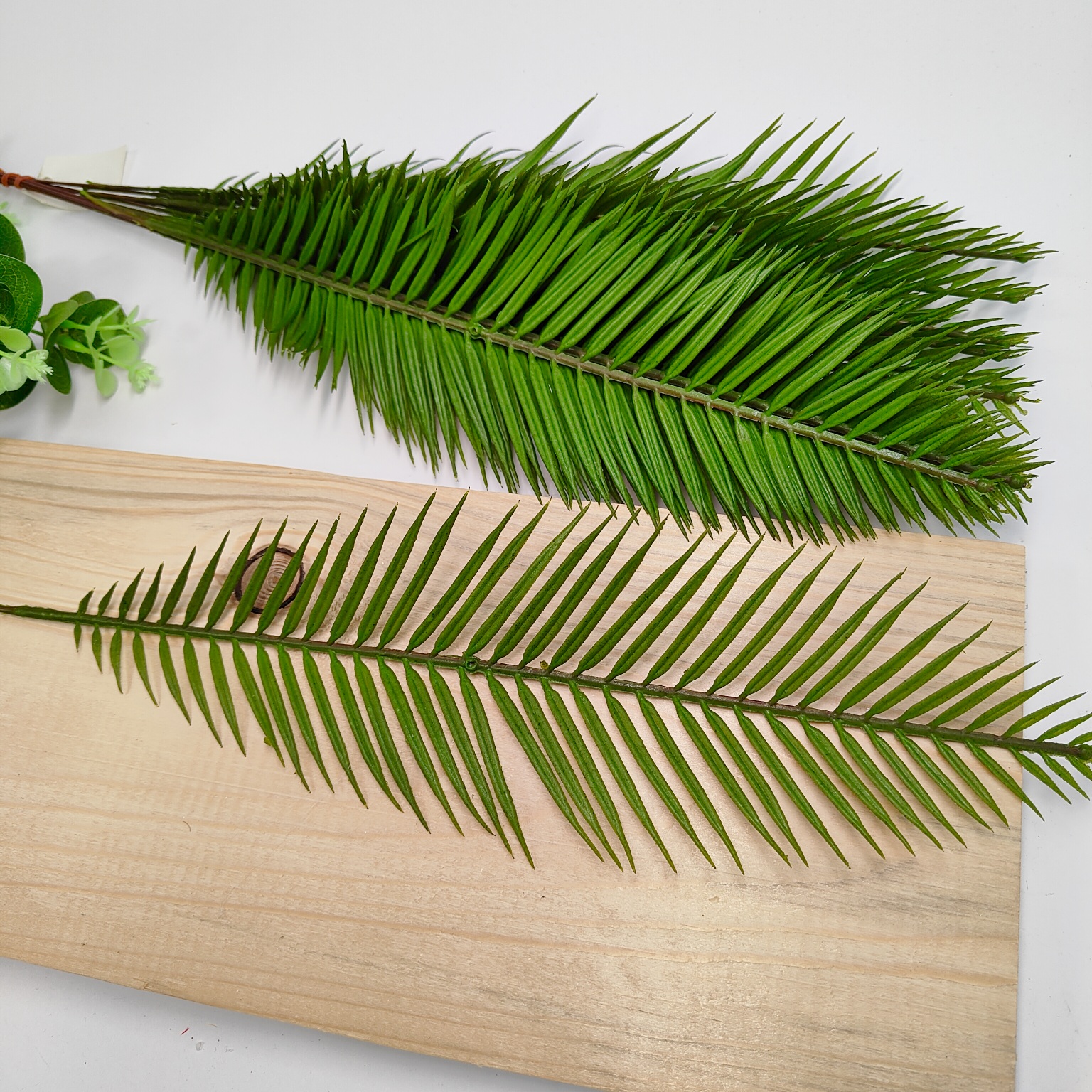 Dodatek liść paprotka 12 szt