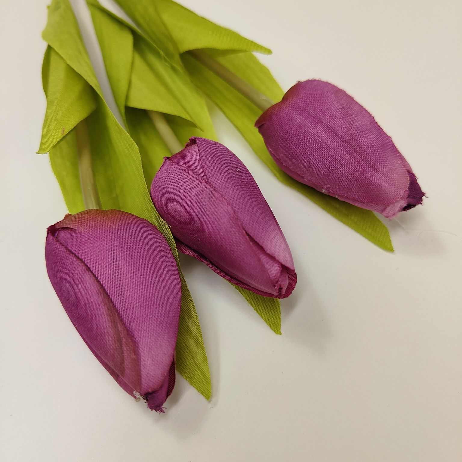 Tulipan pojedynczy M561-8 fioletowy