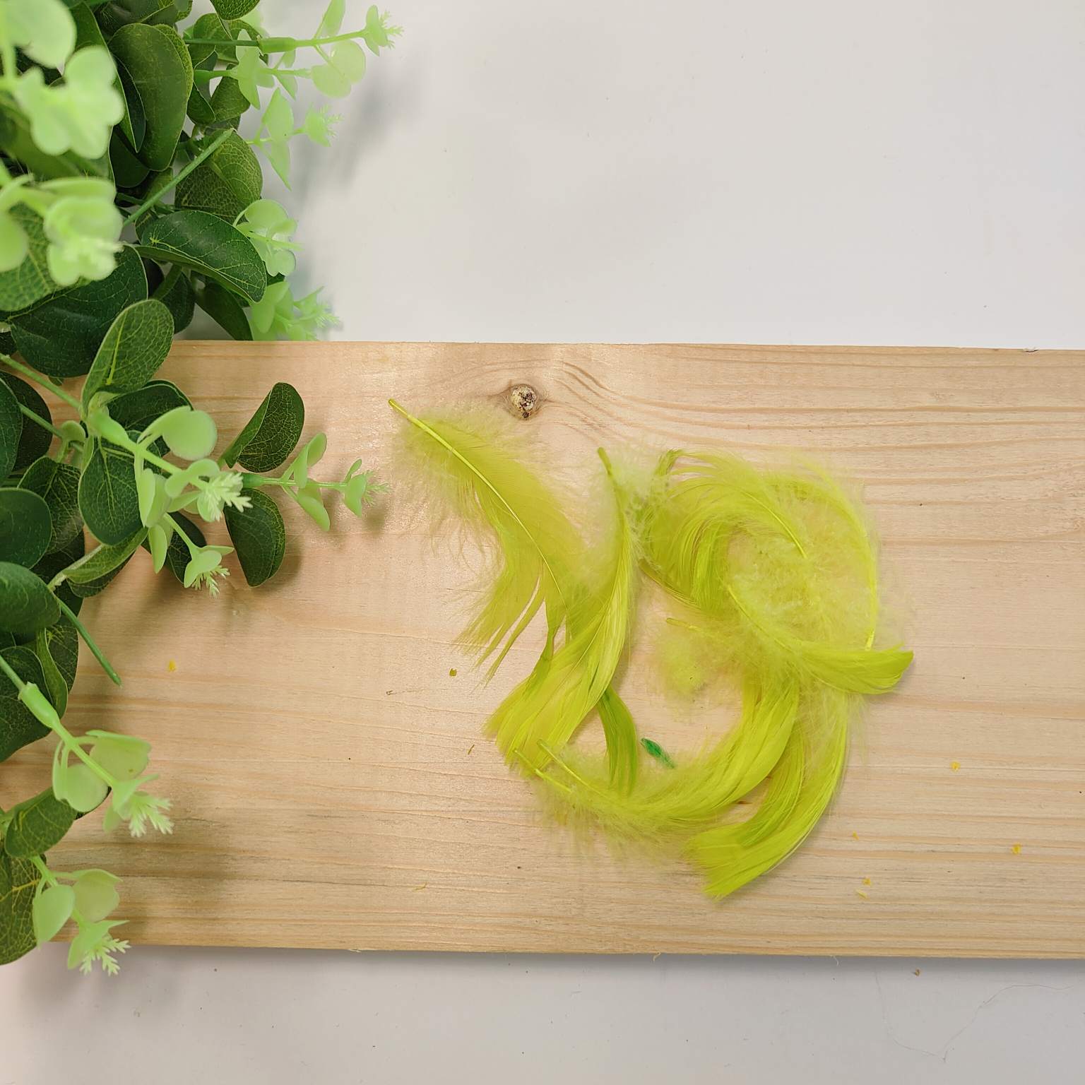 Piórka opakowanie 15g seledyn