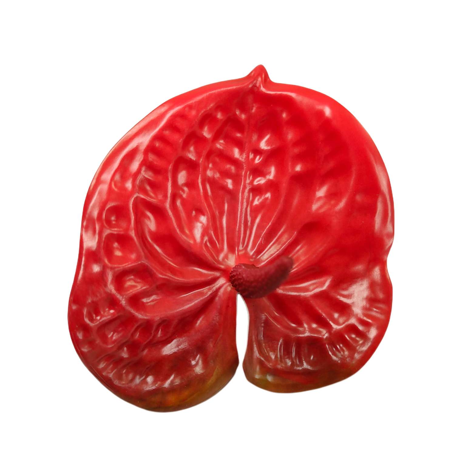 Anturium wyrobowe gumowane 12 szt czerwone