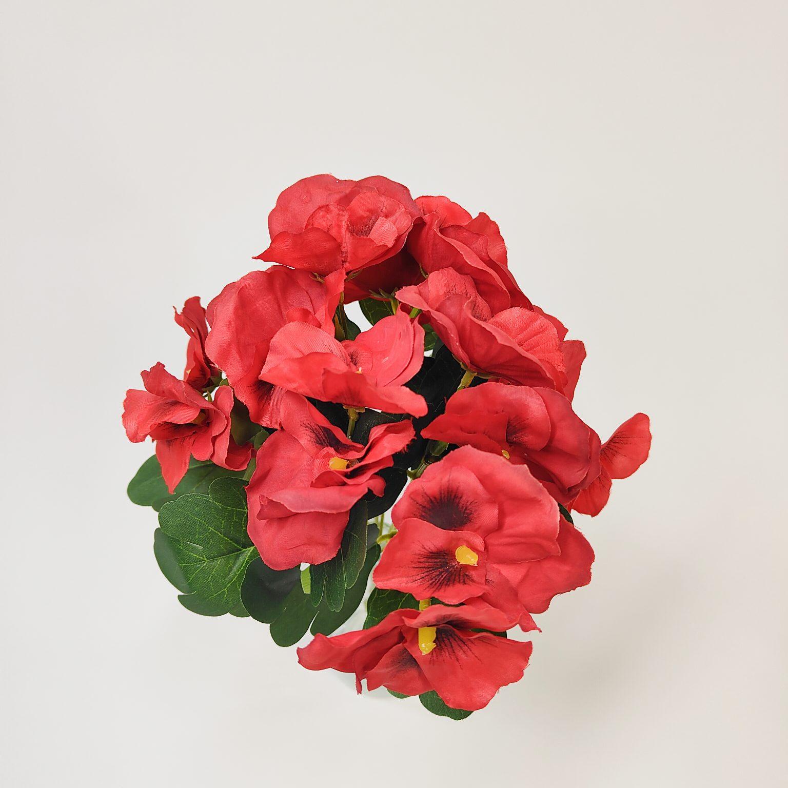 Bukiet bratki mix 5 czerwony