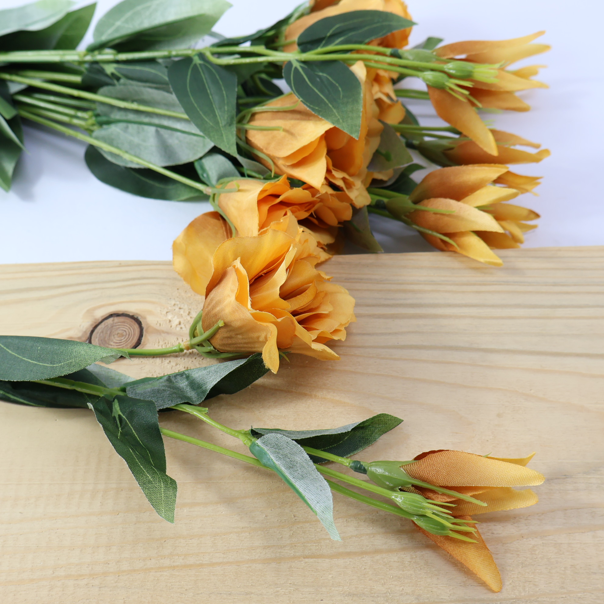 Eustoma pojedyncza jasny brąz 6 szt