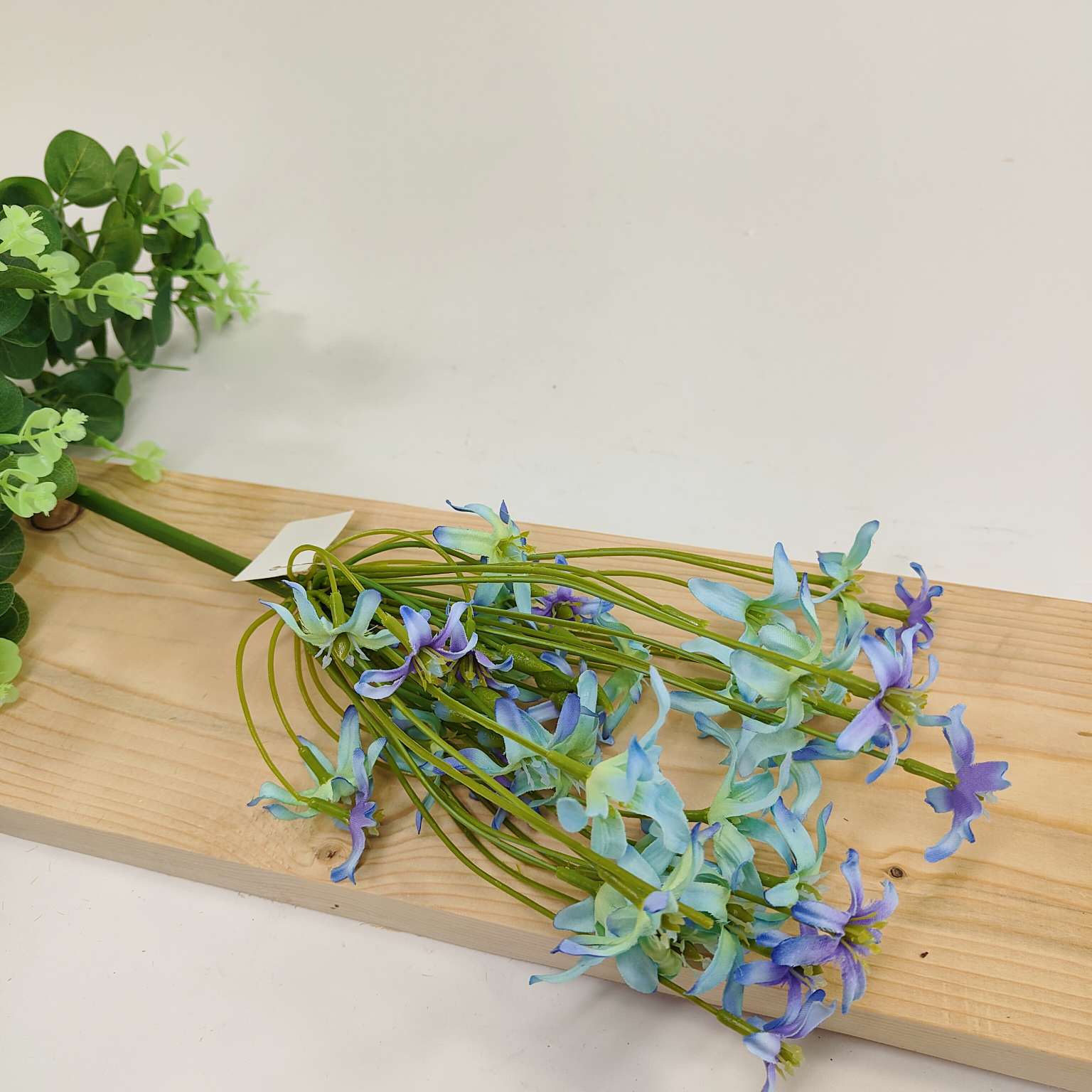 Agapantus pojedynczy niebiesko fioletowy