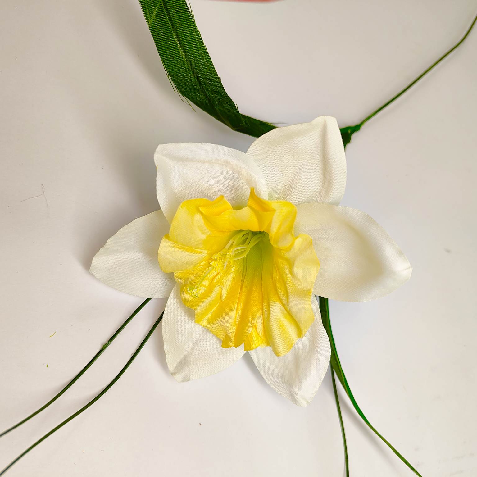 Żonkil pojedynczy kremowo-żółty