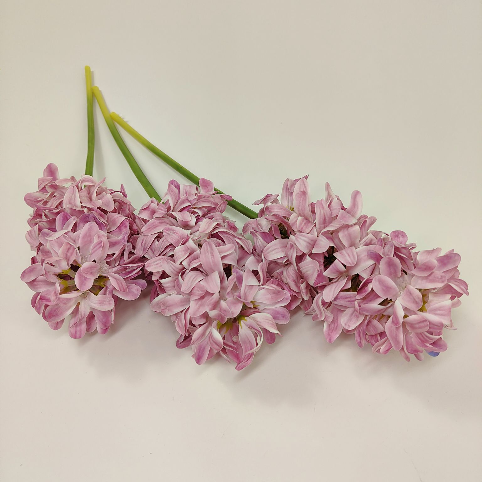 Hiacynt pojedynczy różowy