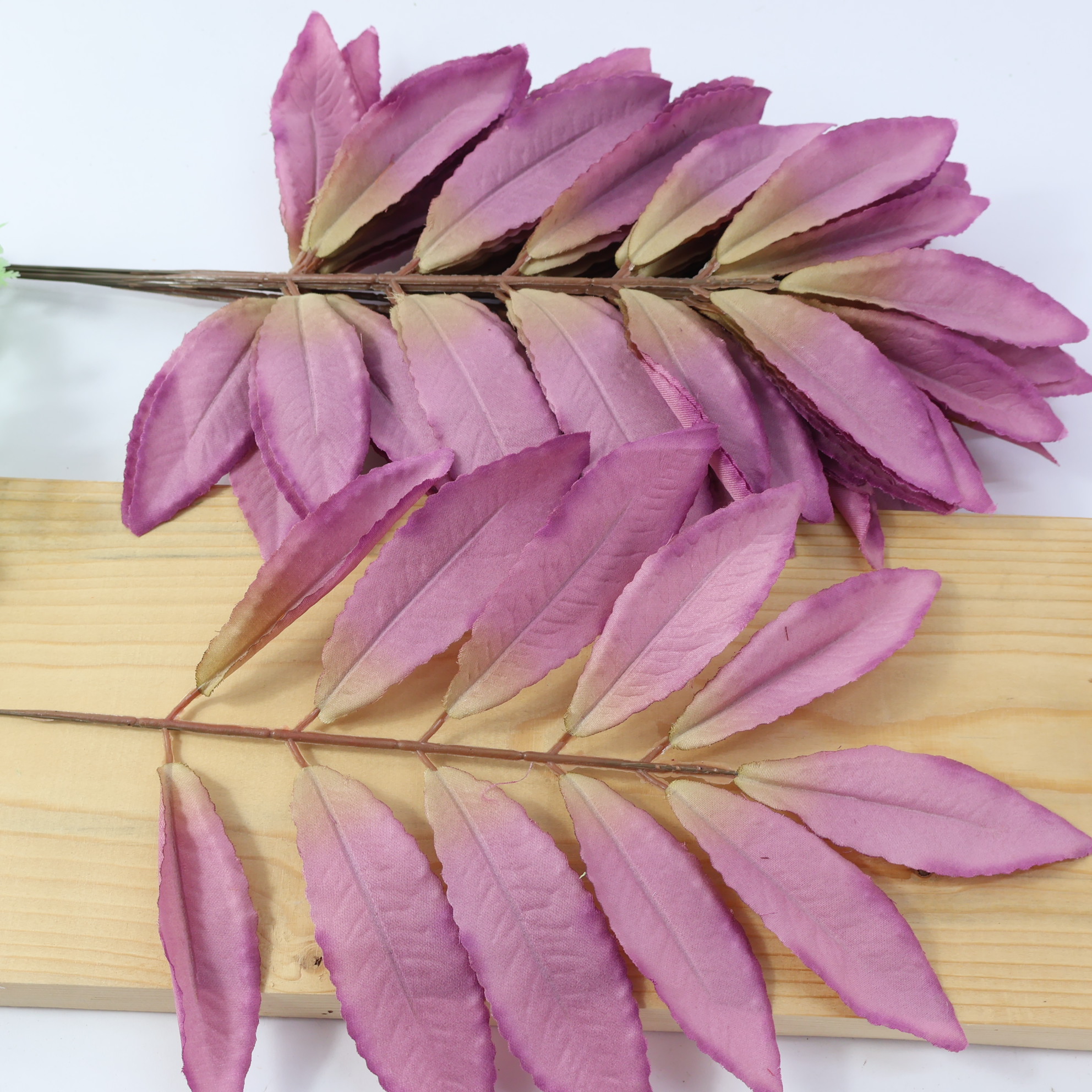 Liść laurowy fioletowy 12 szt