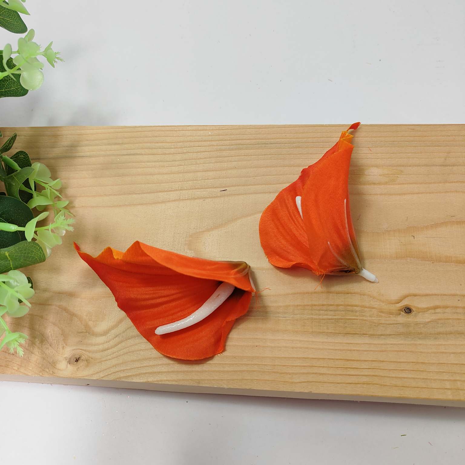 Calla wyr mała pomarańczowa 24 szt