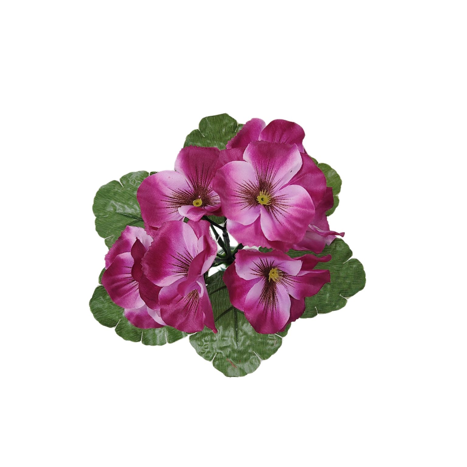 Bukiecik bratek biskupi