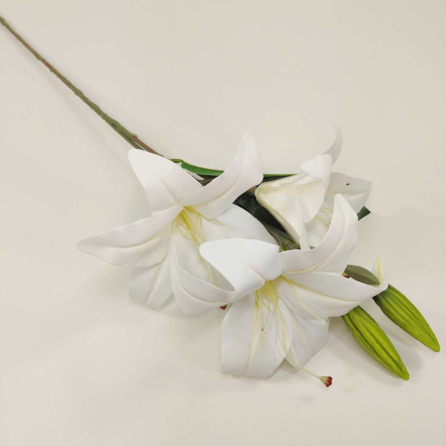 Lilia pojedyncza gumowana biała