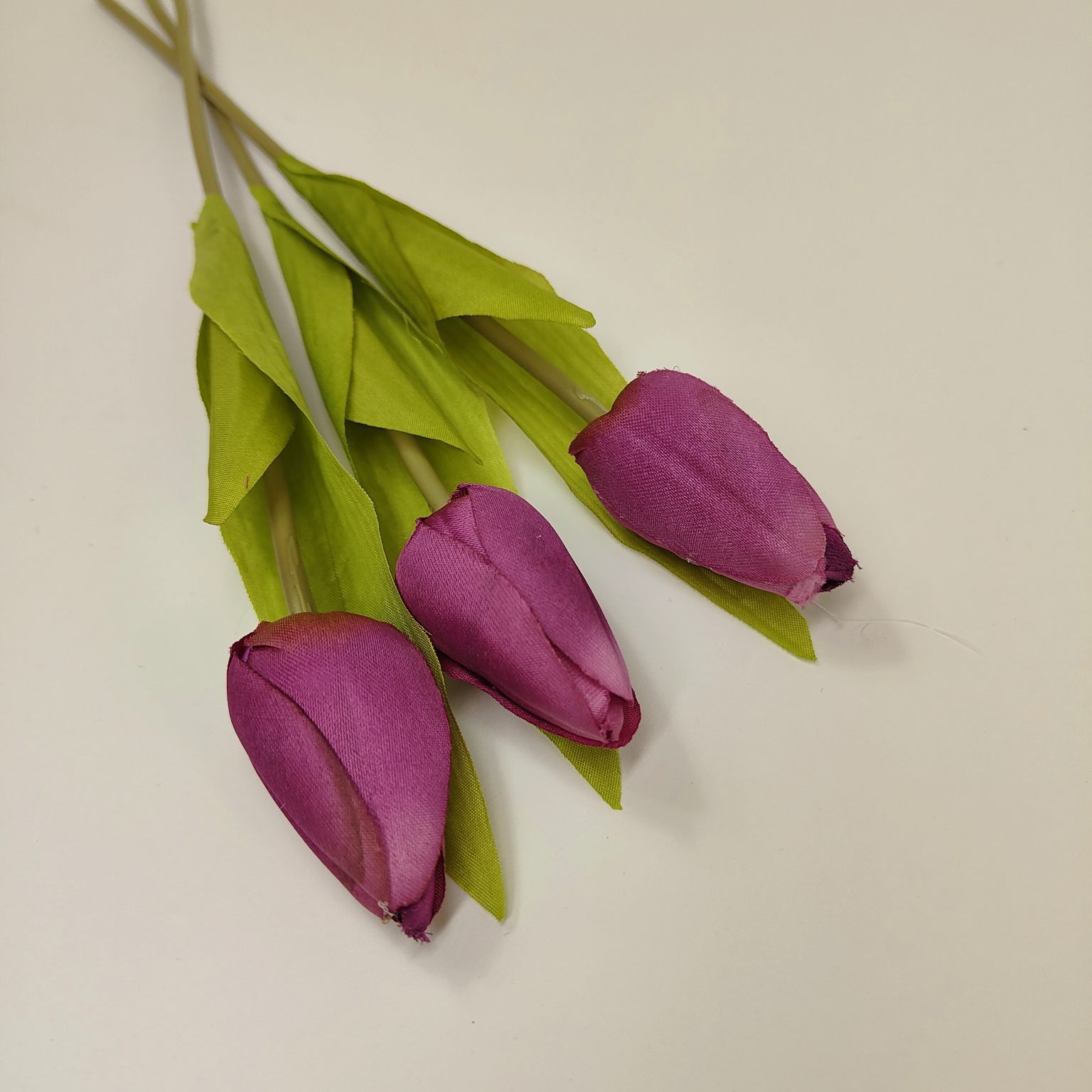 Tulipan pojedynczy M561-8 fioletowy