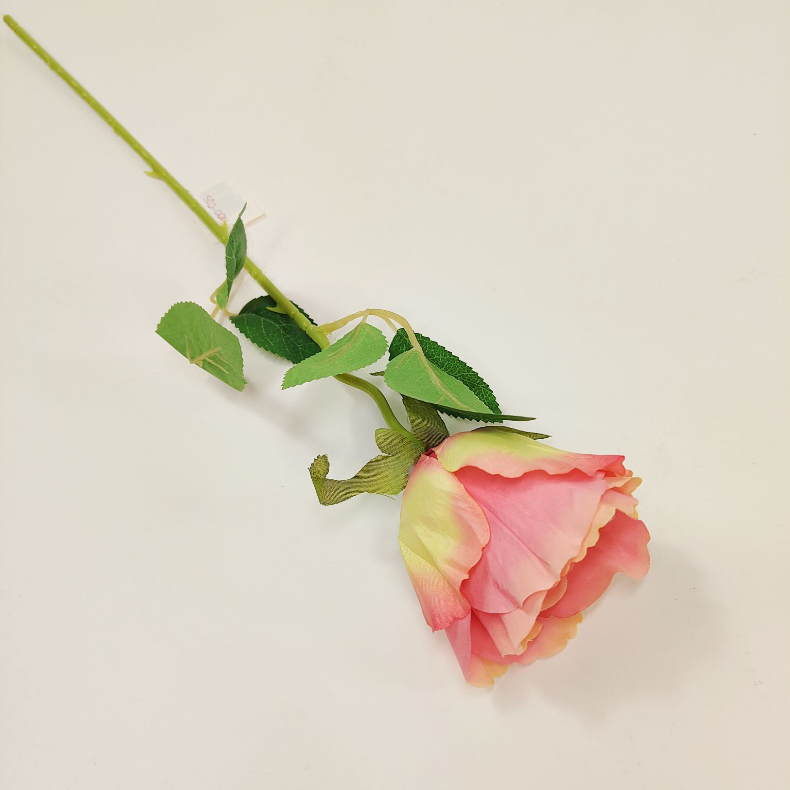 Róża pojedyncza różowa