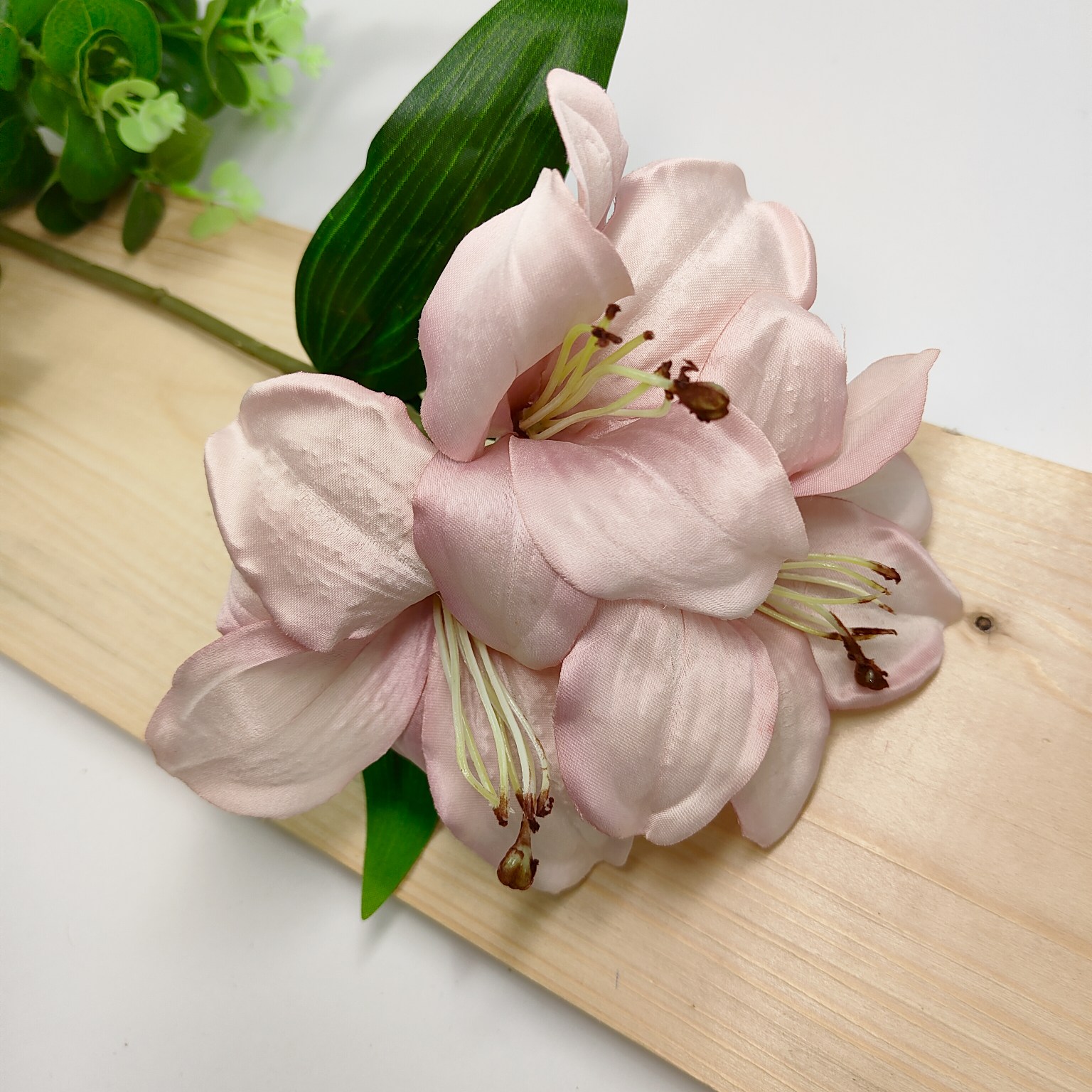 Liliowiec pojedynczy x3 brudny róż