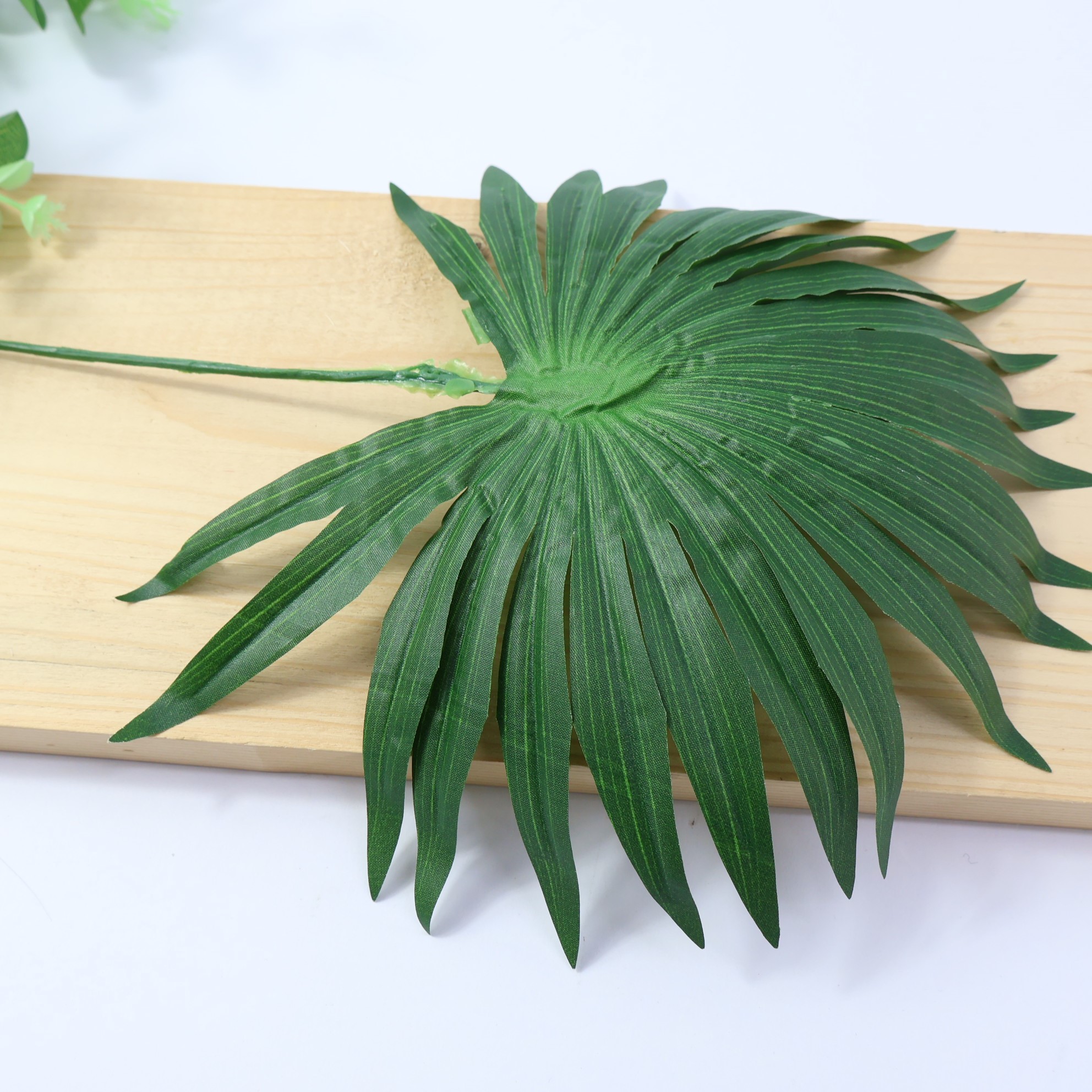 Liść paproci okrągły CF1-034 12 szt