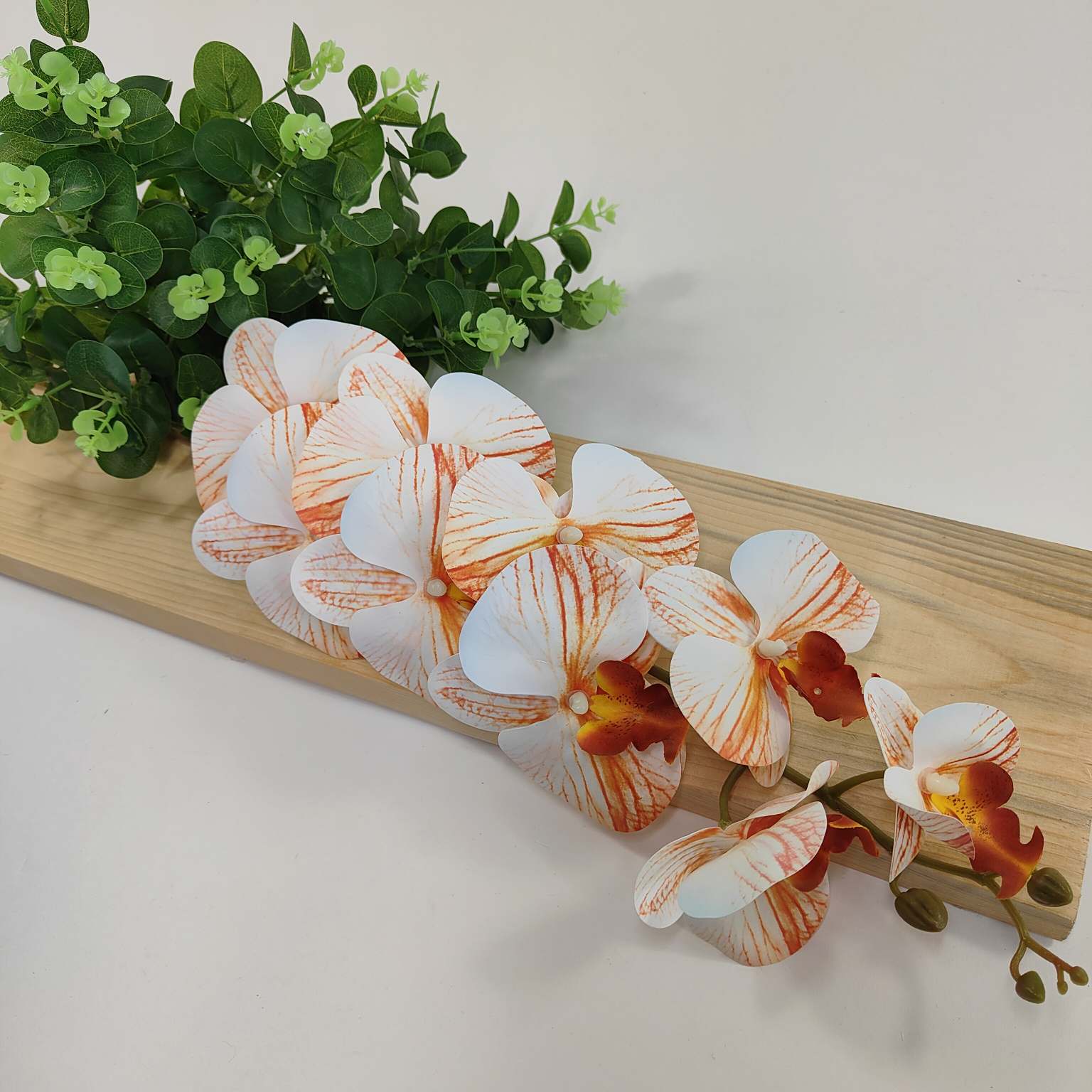 Storczyk pojedynczy gumowany kremowo pomarańczowy