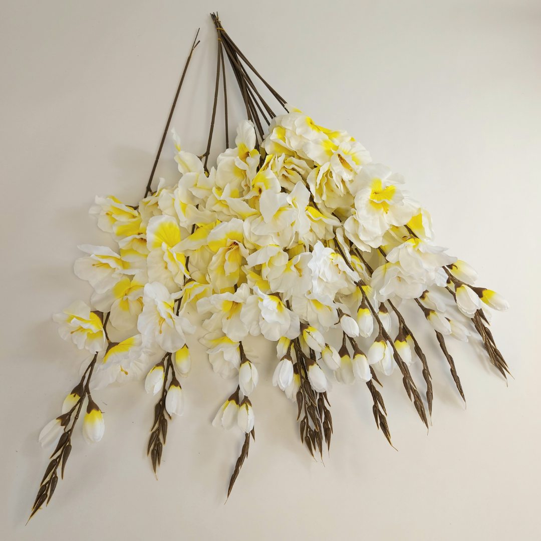 Mieczyk pojedynczy długi biało żółty 12 szt