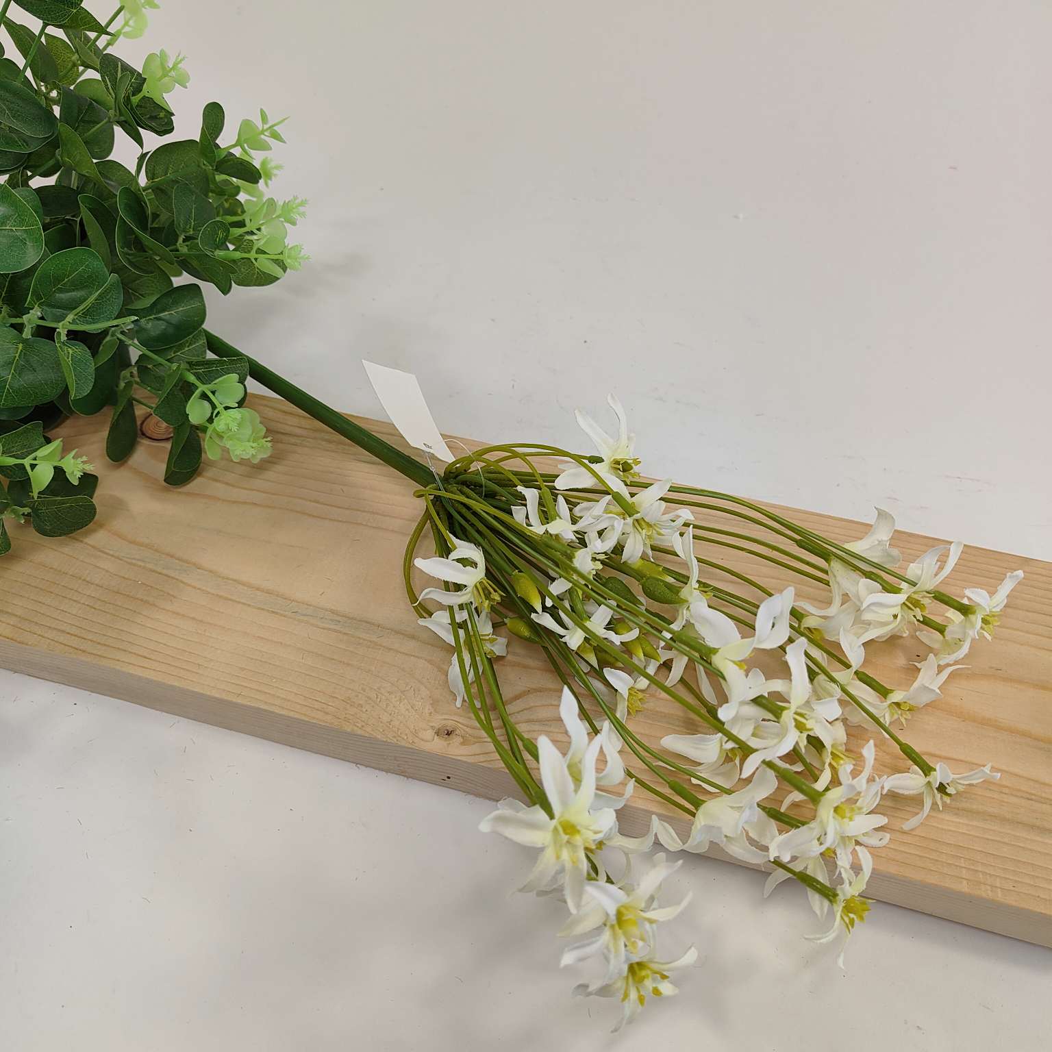 Agapantus pojedynczy kremowy