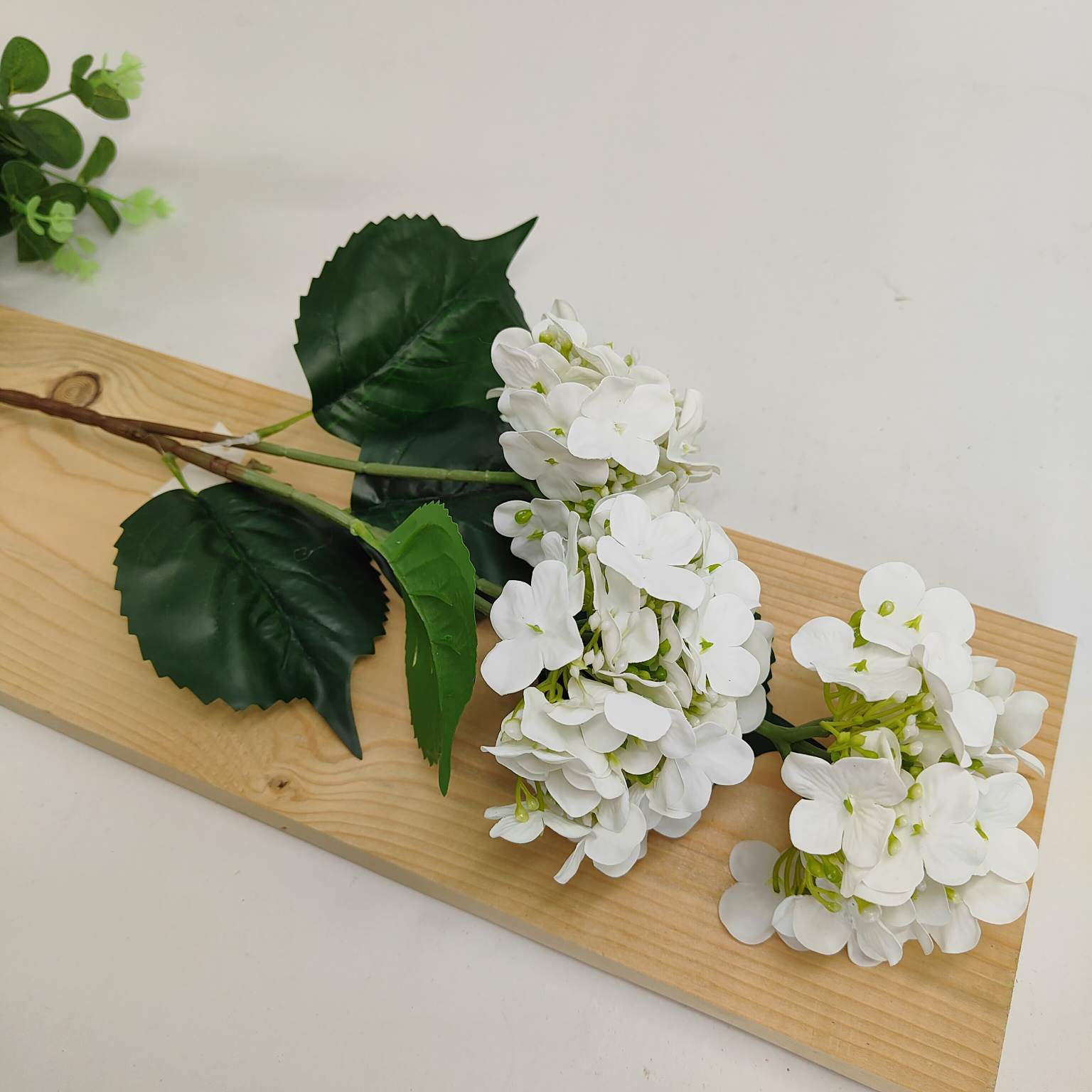 Hortensja x3 gumowana biała