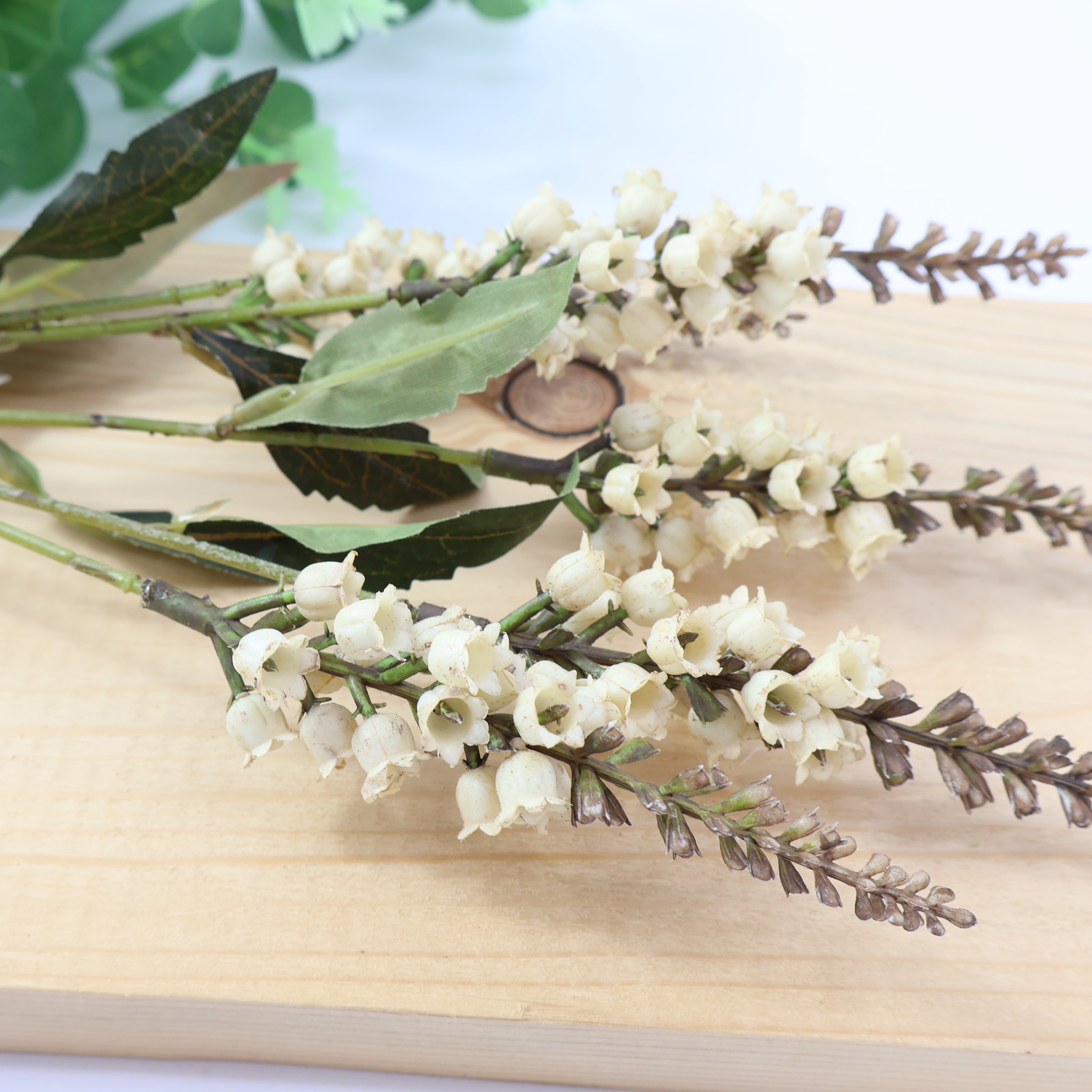 Konwalia jesienna kremowa