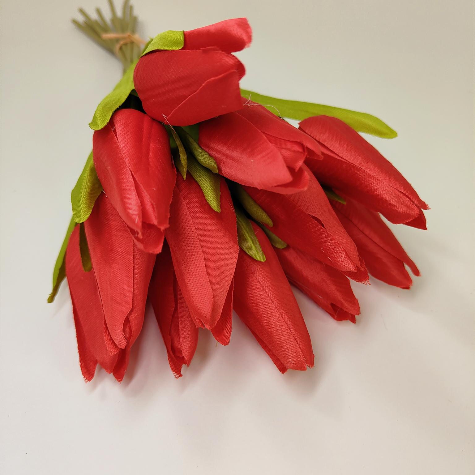 Tulipan pojedynczy M702 czerwony 12 szt