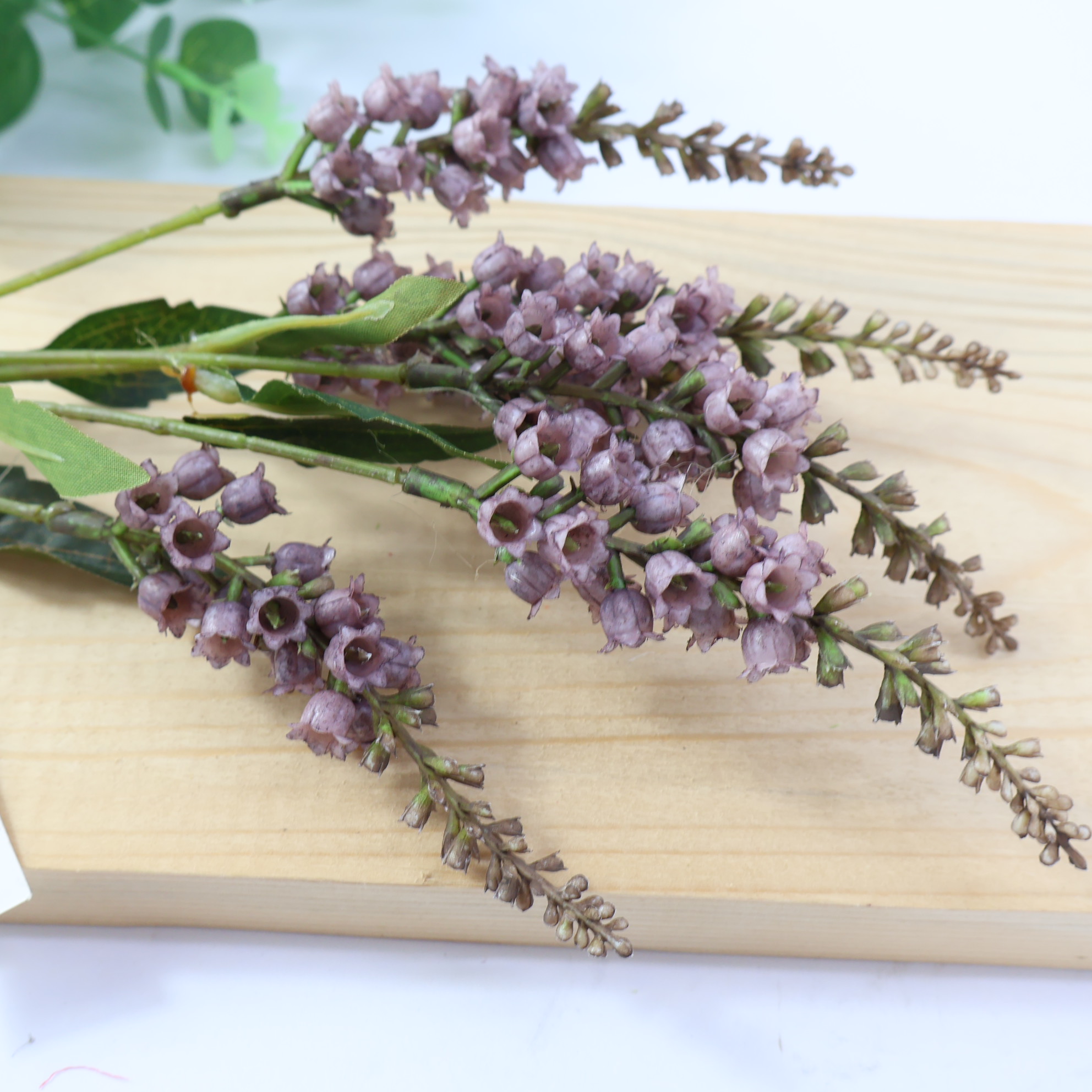 Konwalia jesienna fioletowa