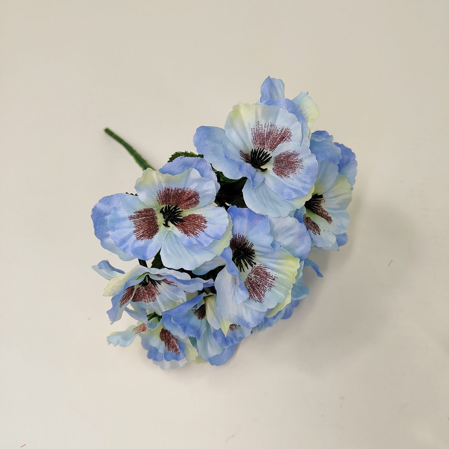 Bukiecik bratek niebieski