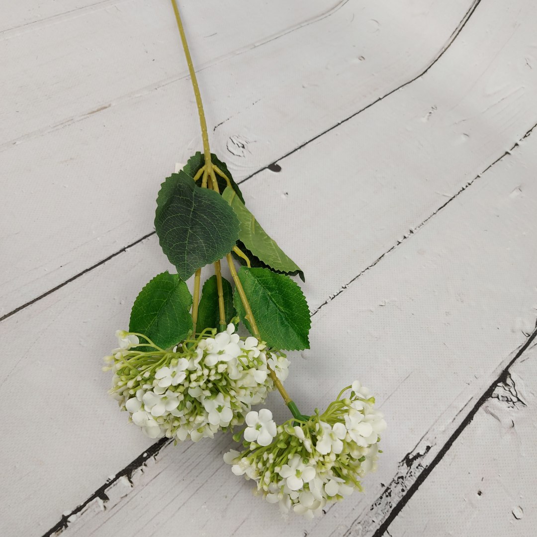 Kalina biała x3 P55-20-31