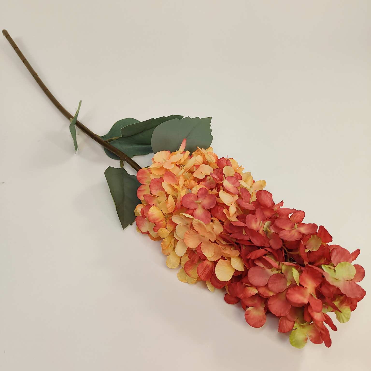 Ostróżka pojedyncza pomarańczowa