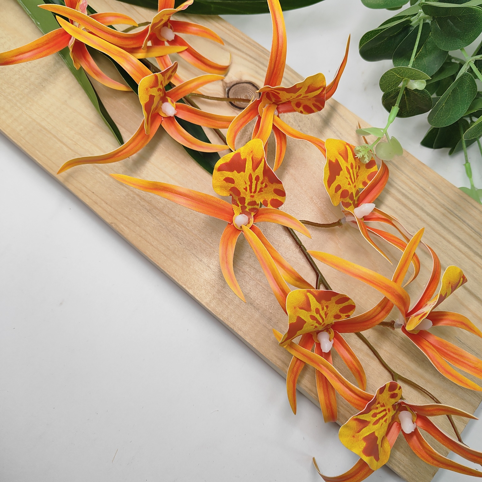 Storczyk pojedynczy gumowany pomarańczowy