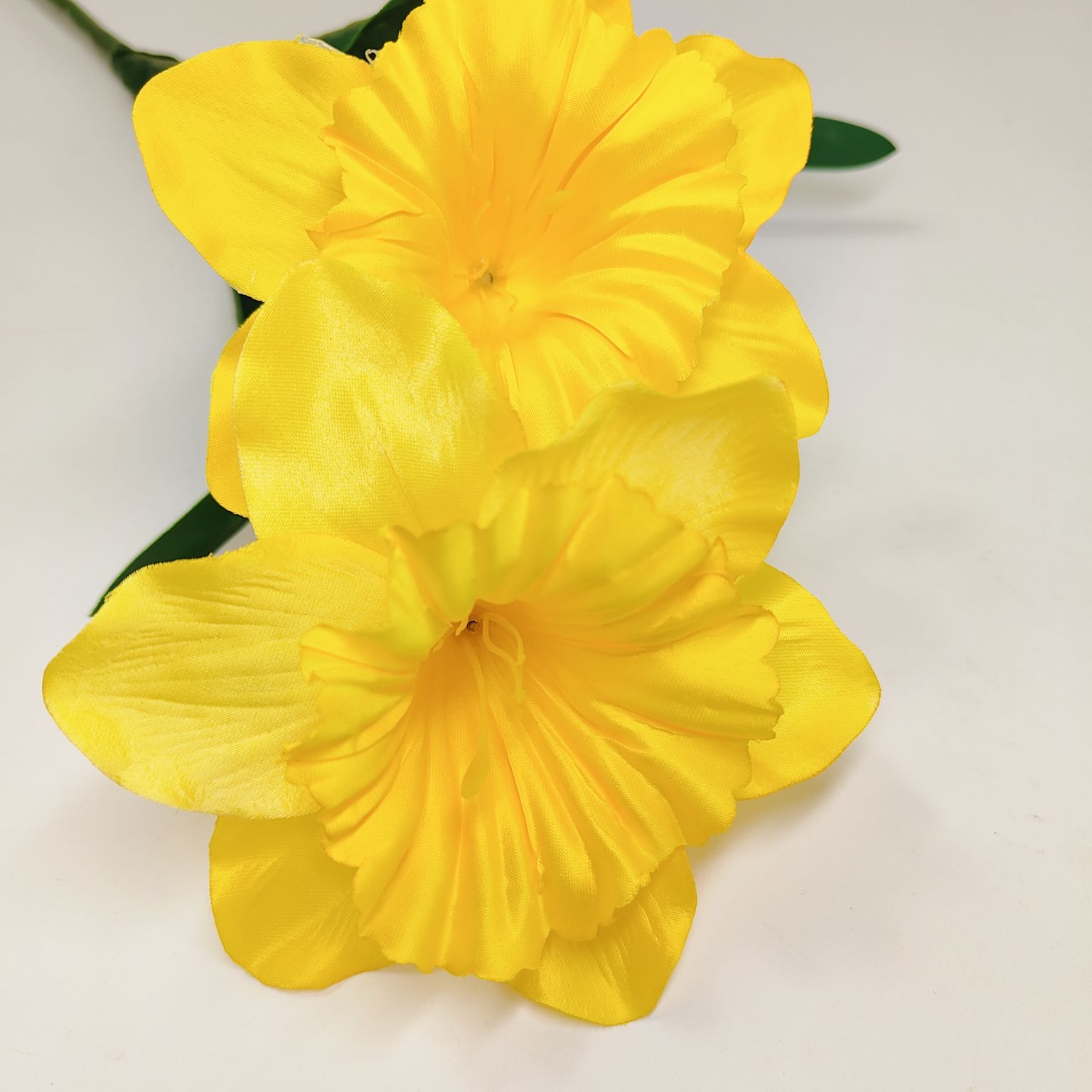 Żonkil żółty pojedynczy x2 łodyga gumowana