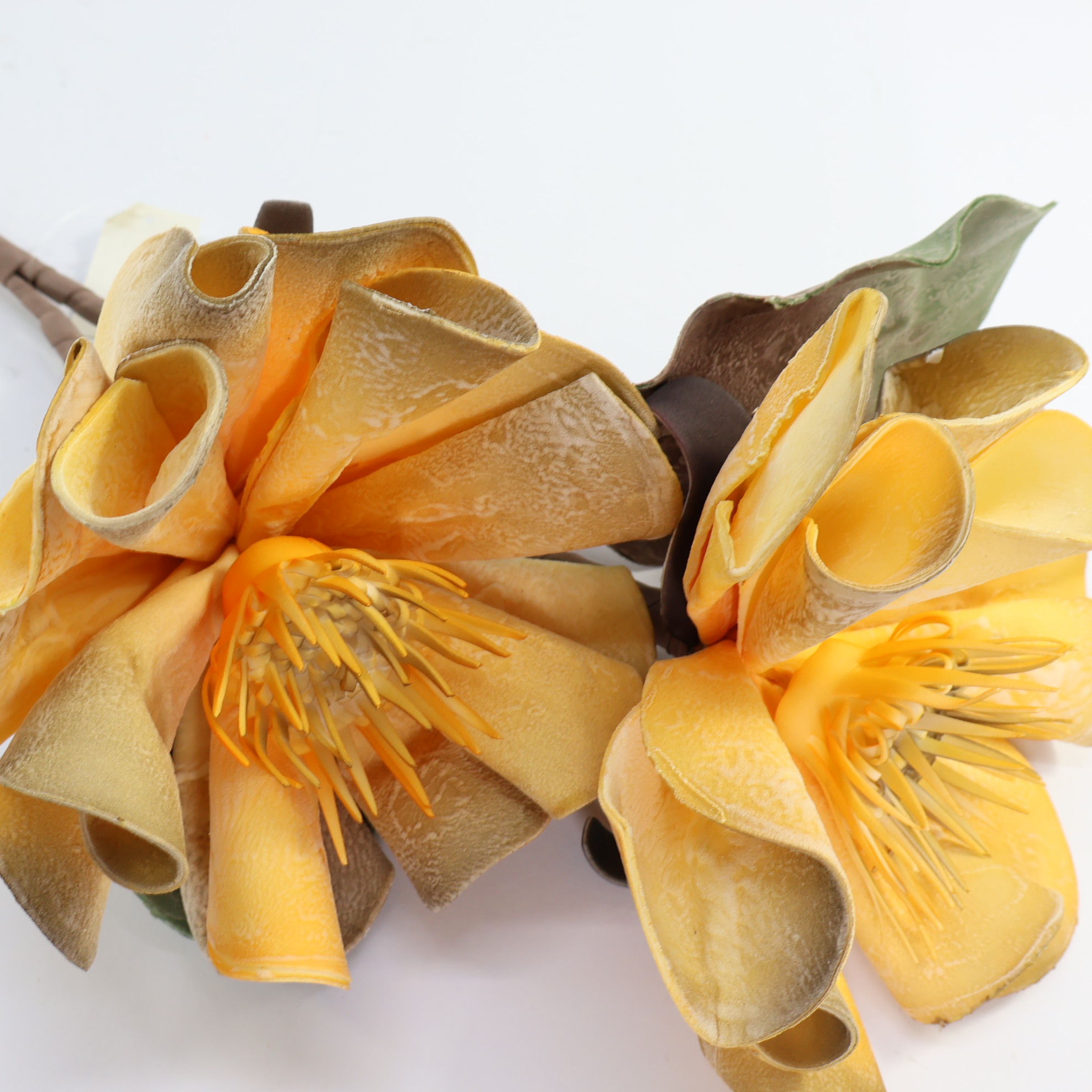 Pianka x2 żółto brązowa