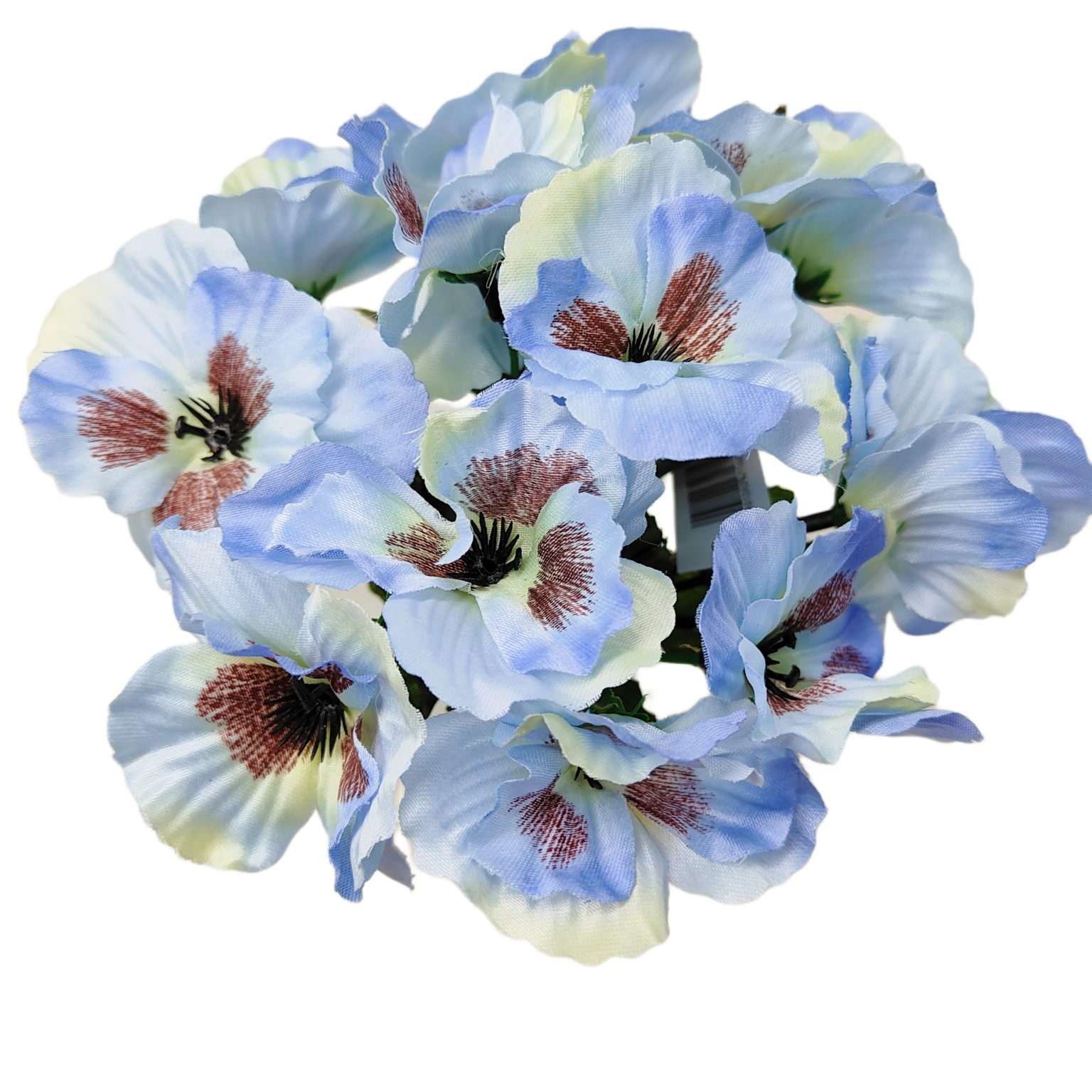 Bukiecik bratek niebieski