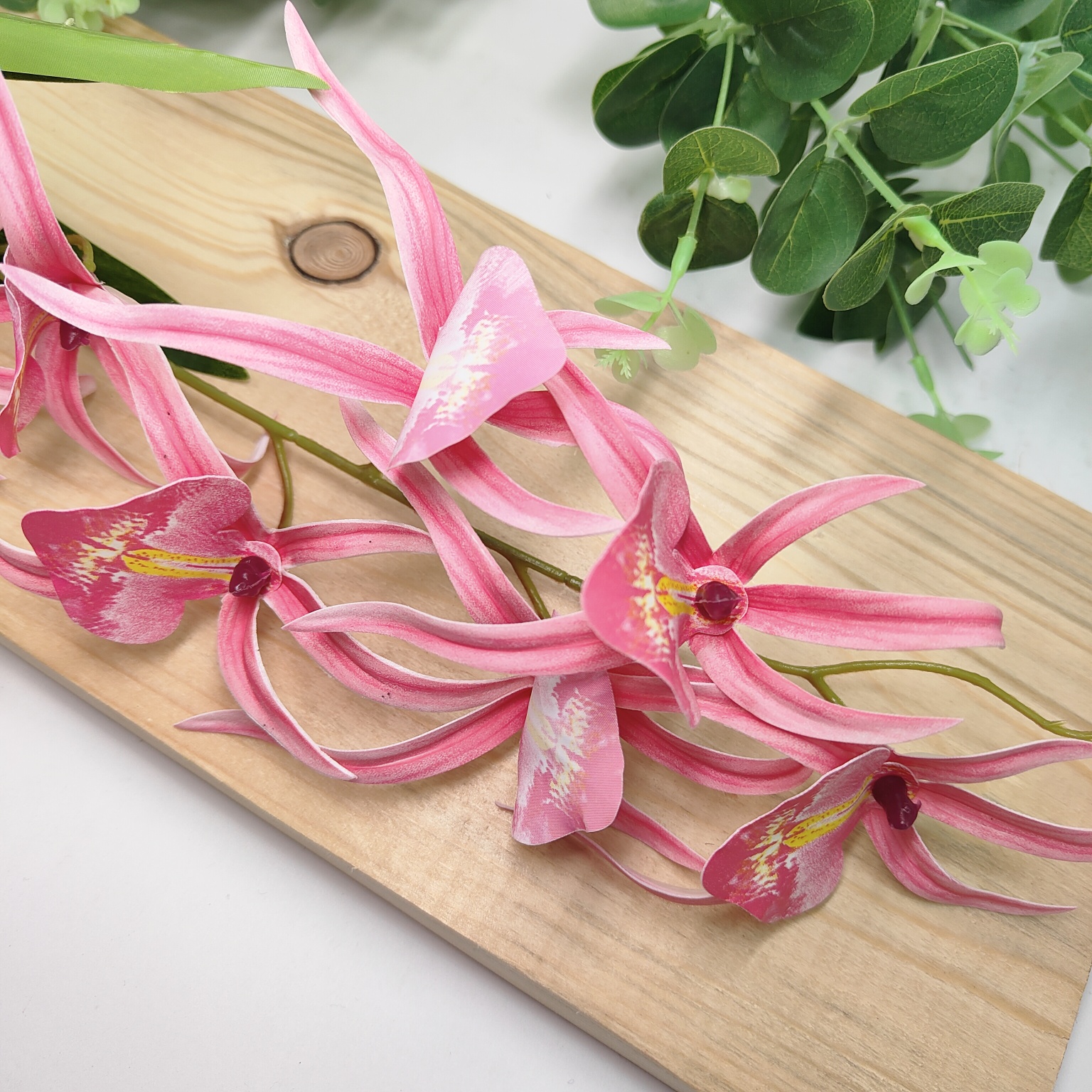 Storczyk pojedynczy gumowany różowy