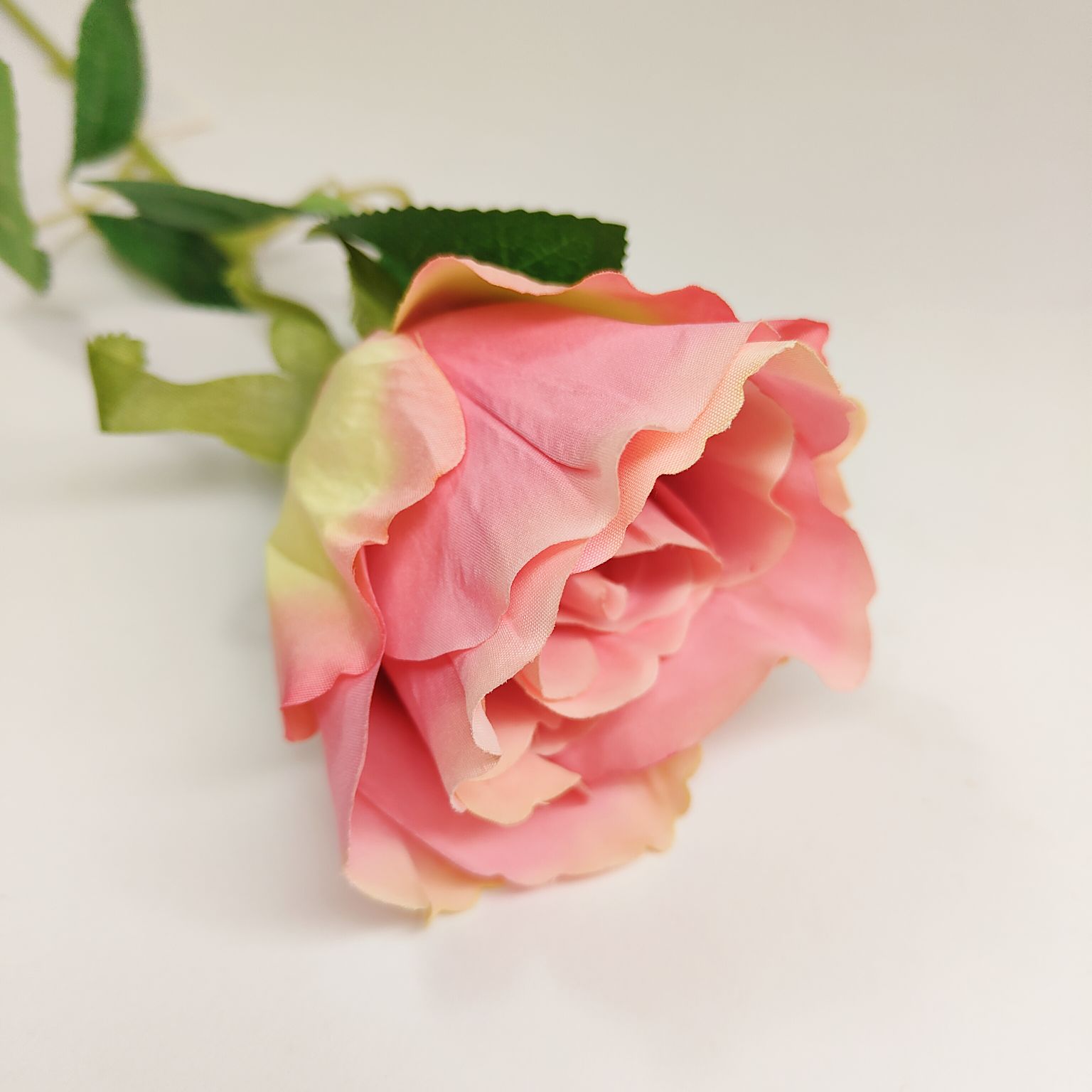 Róża pojedyncza różowa