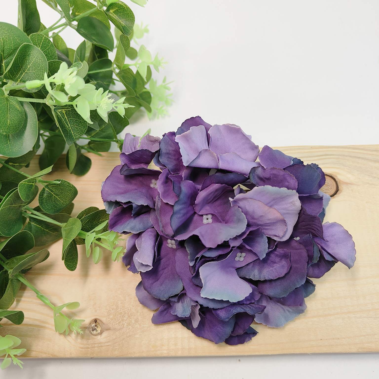 Hortensja wyrobowa eggplant