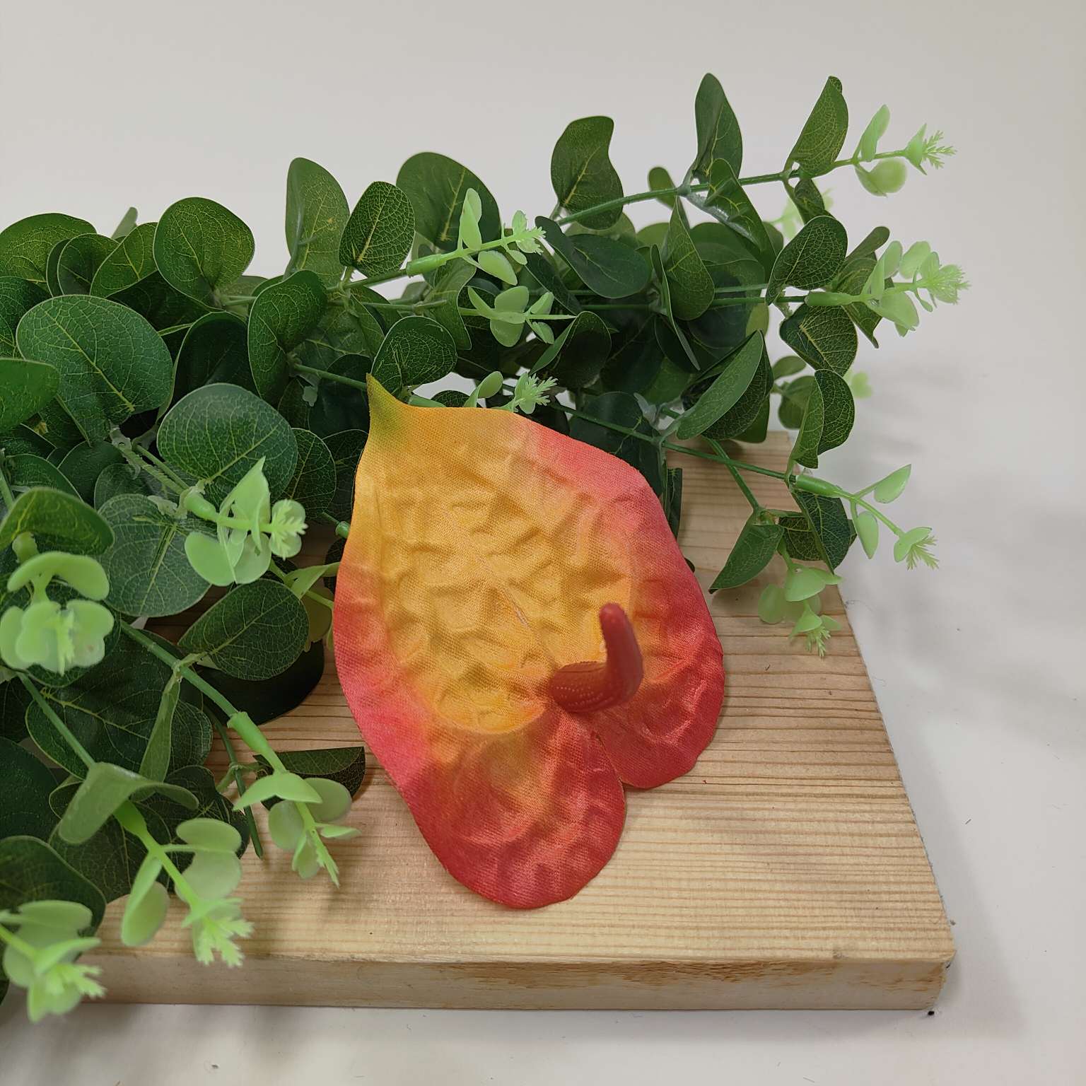 Anturium wyrobowe żółto pomarańczowe 24 szt