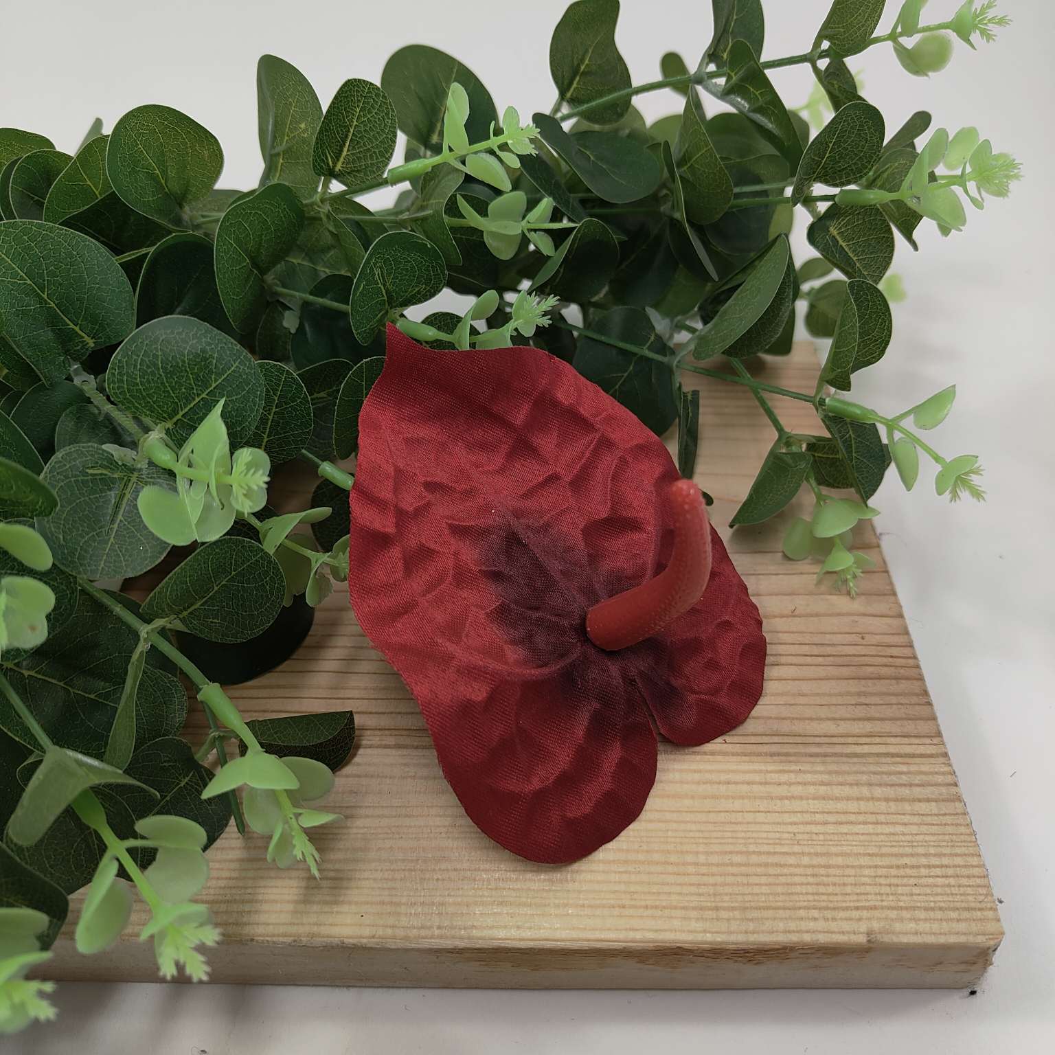 Anturium wyrobowe bordowe 24 szt