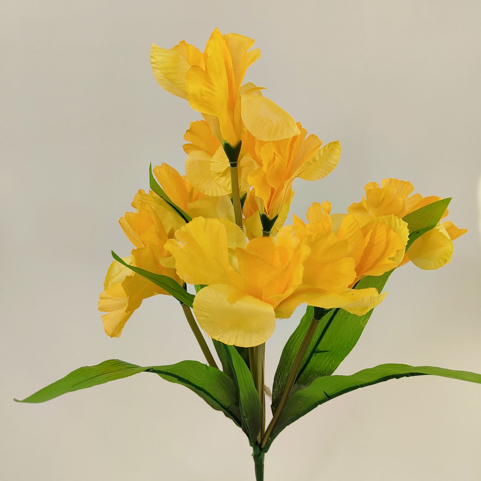 Bukiet irys x9 żółty