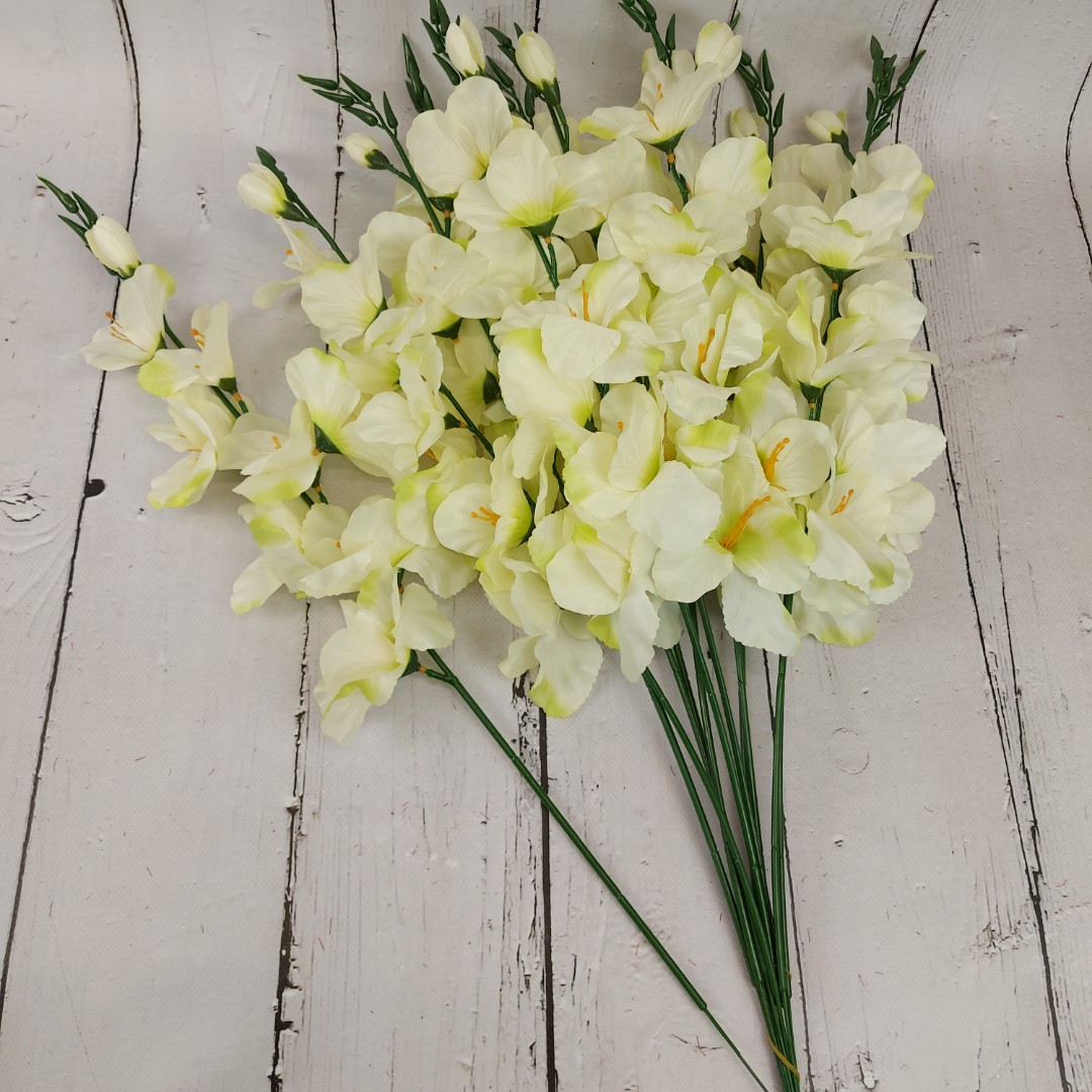 Mieczyk pojedynczy średni cream/green GM42 12 szt