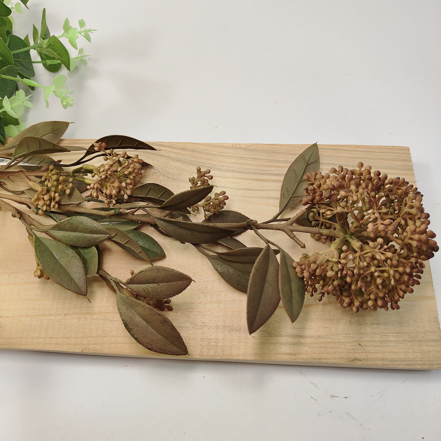 Dodatek czosnek x3 brązowy