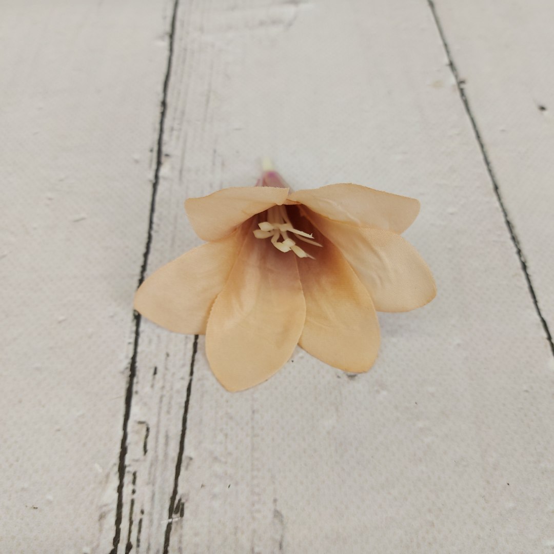 Lilijka wyrobowa '16 24 SZT